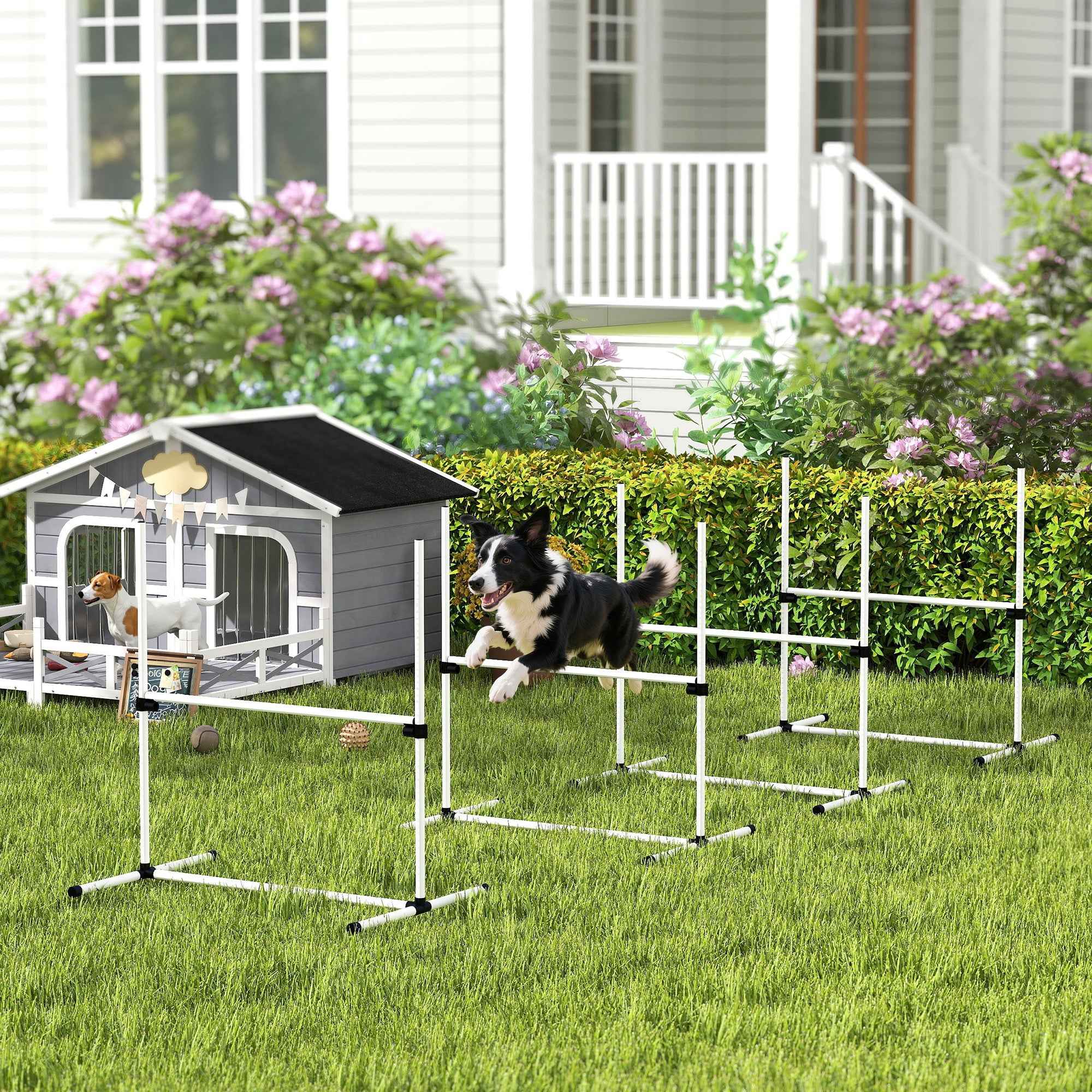 PawHut Dog Agility Equipment Training Height Adjustable Jumps Hurdle 4 Pieces with Carrying Bag for Outdoor