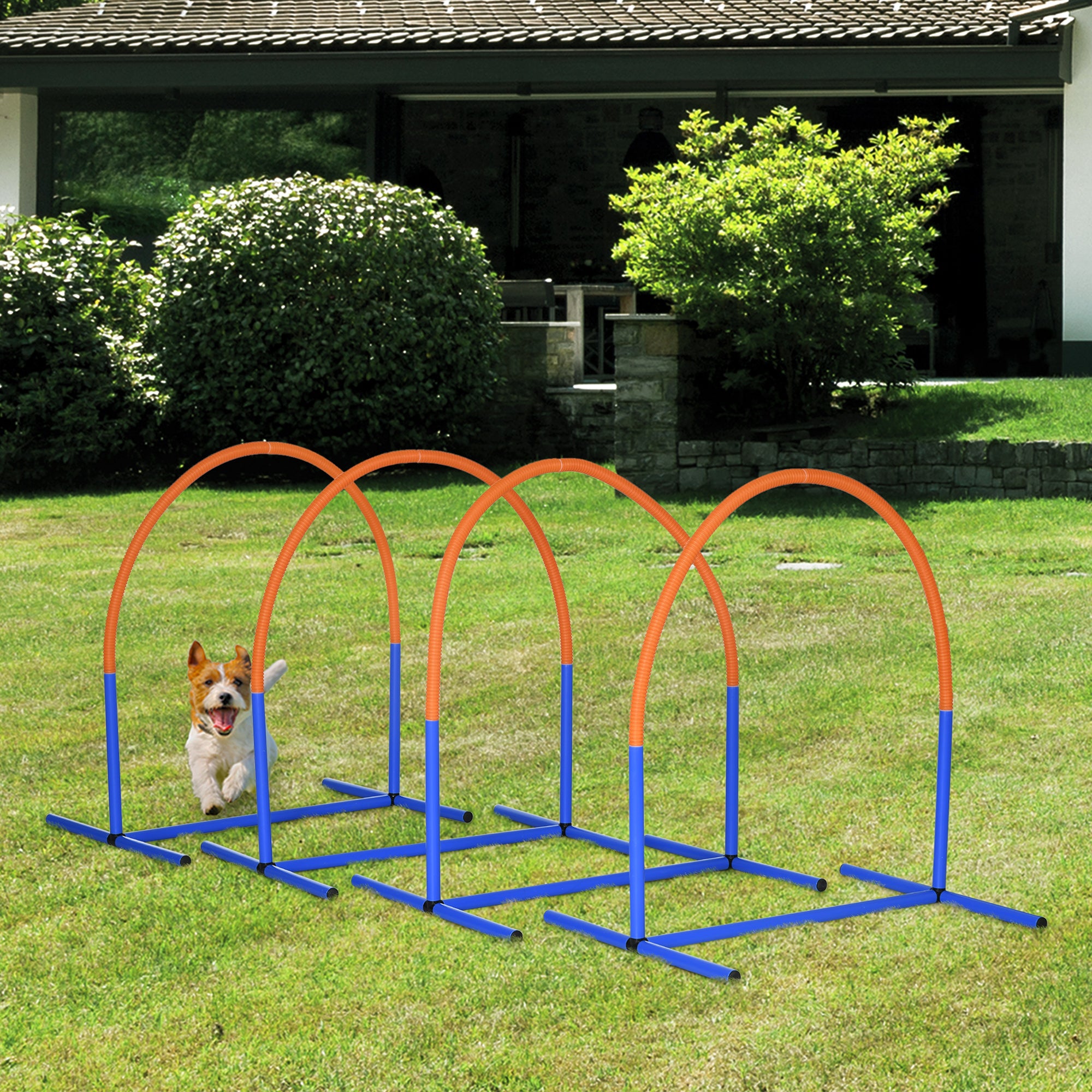 PawHut Four-Piece Portable Dog Agility Equipment - Blue - North Peak Garden Furniture