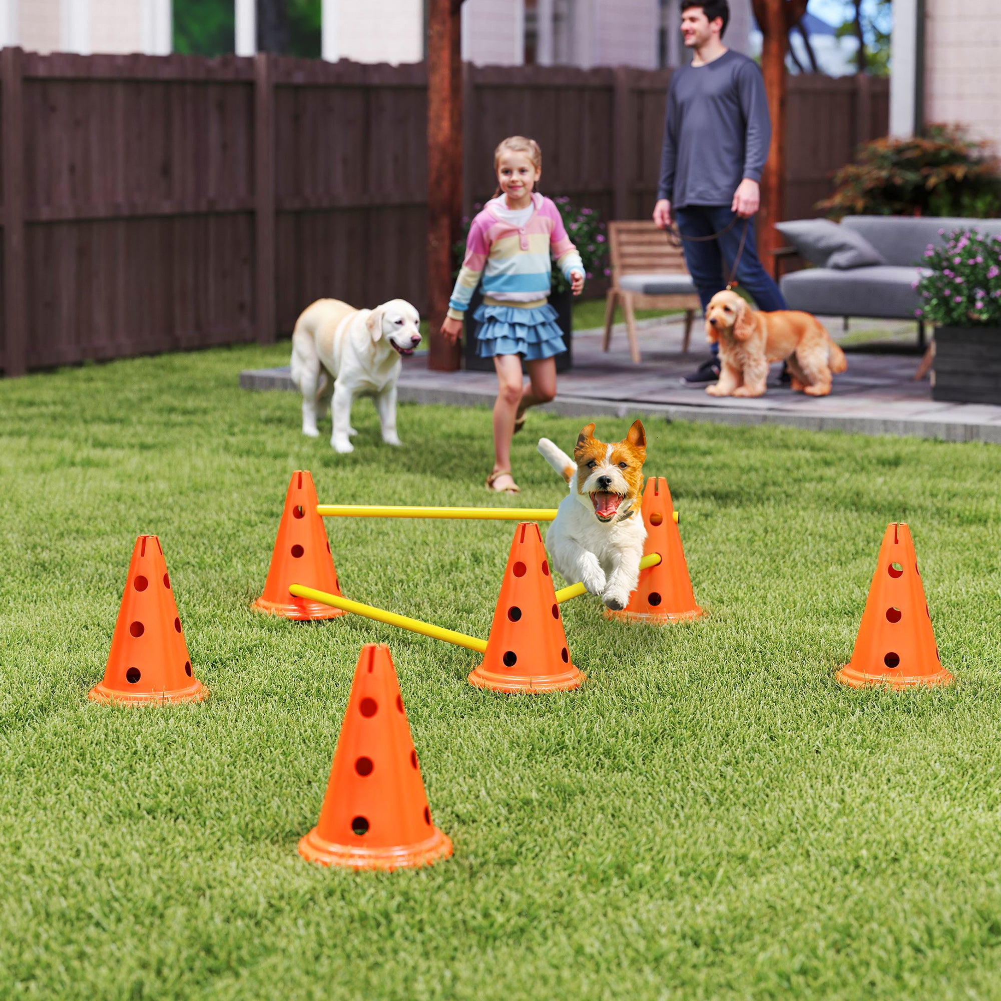PawHut Dog Agility Equipment Set of 6 Cones, 6 Poles with Carry Bag, 3 PCS Adjustable Height Jumping Obstacles, Orange - North Peak Garden Furniture