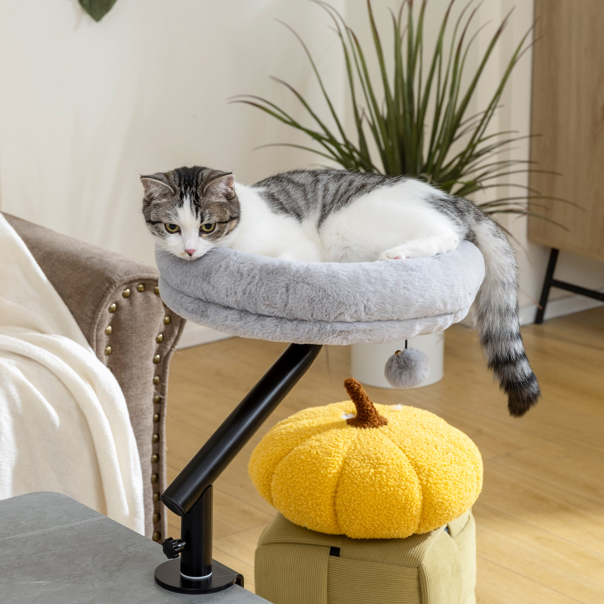PawHut Cat Desk Bed, Cat Hammock 360° Rotatable Adjustable for Window, Table, Work, Grey