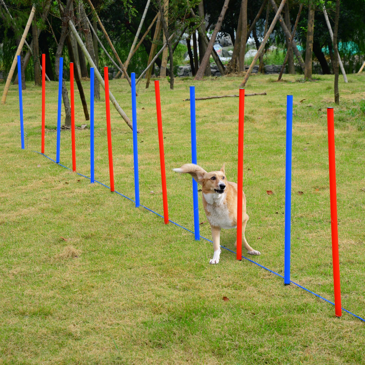 PawHut Pet Agility Training Equipment Dog Play Run Obedience Training Set Adjustable (Poles) - North Peak Garden Furniture