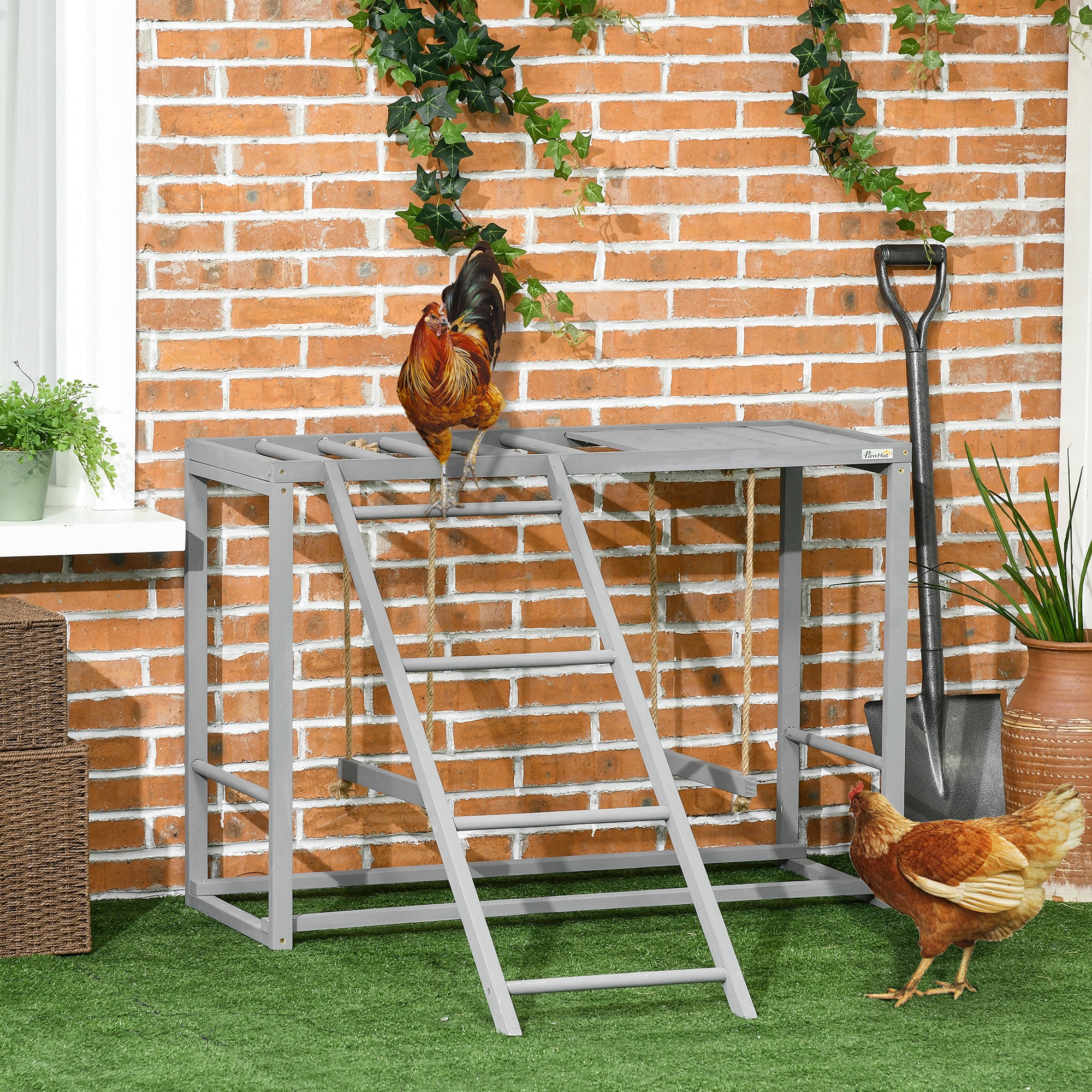 PawHut Chicken Activity Play with Swing Set for 3-4 Chickens, Wooden Chicken Coop, Grey - North Peak Garden Furniture
