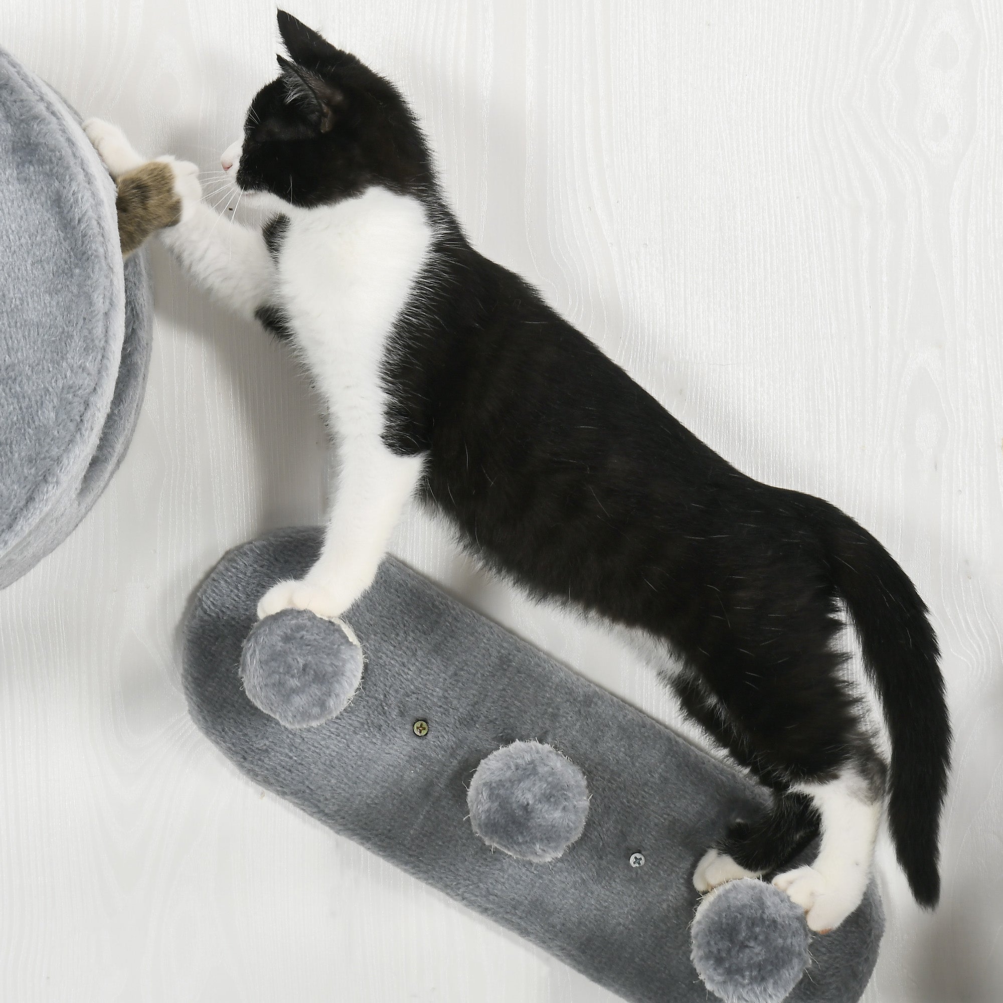 PawHut 4PCs Wall-Mounted Cat Tree, with Steps, Perch, Cat House - Grey - North Peak Garden Furniture