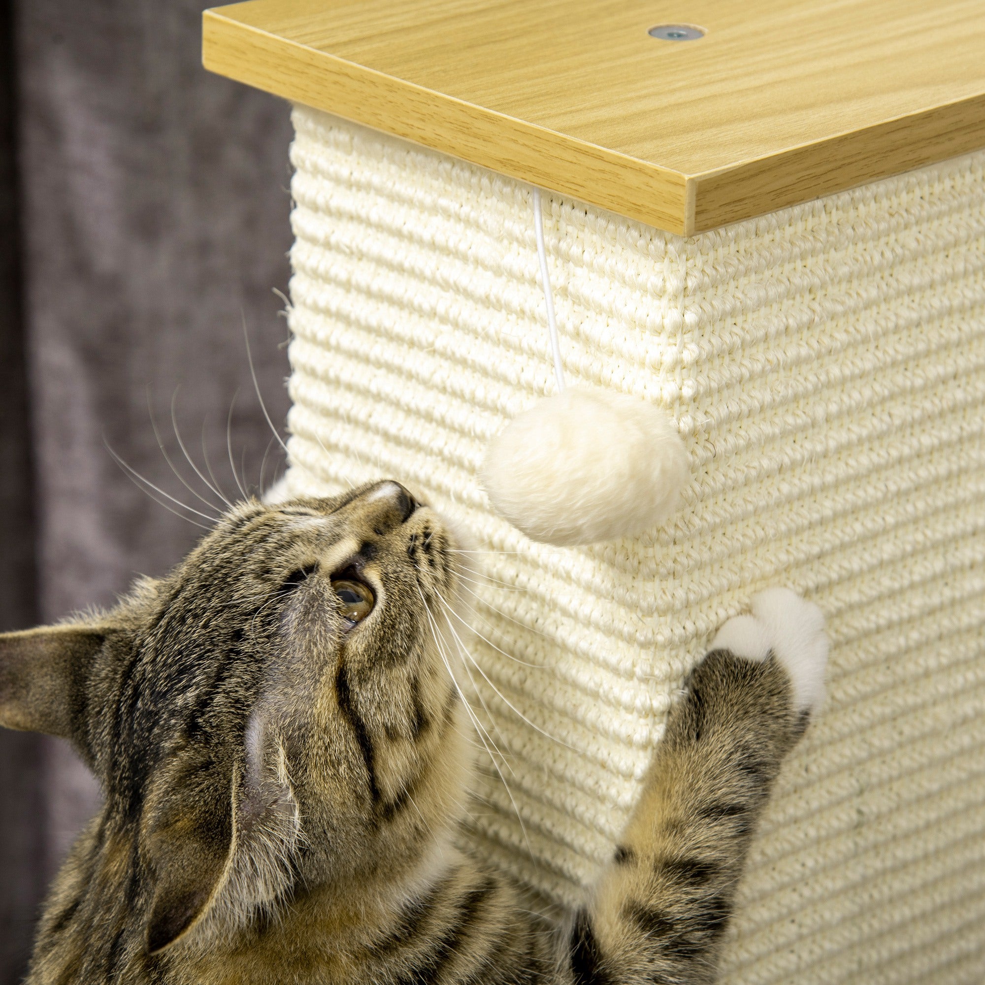 PawHut 80cm Scratching Post, with Toy Ball, Sisal Rope - White - North Peak Garden Furniture