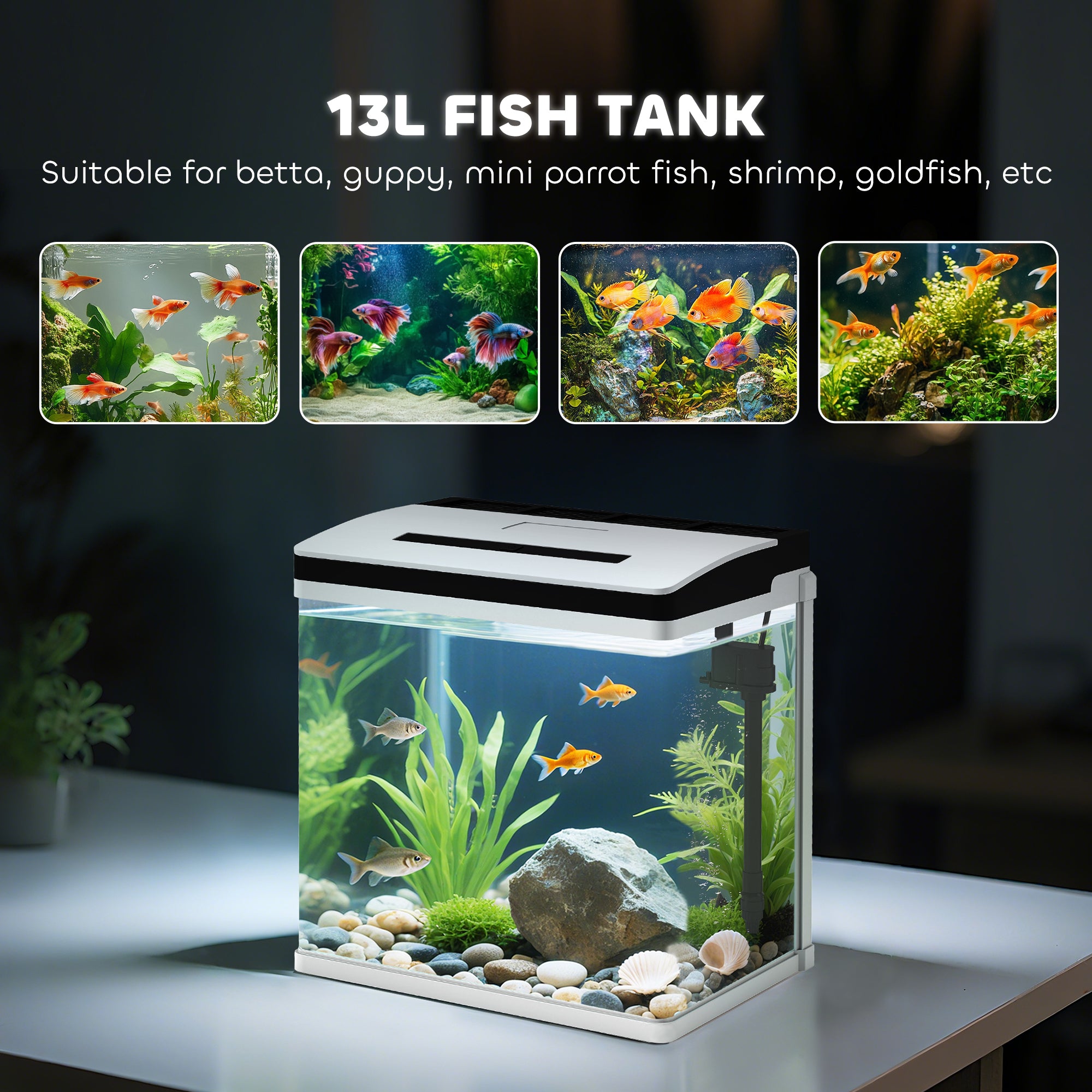 PawHut 13L Glass Aquarium Fish Tank with Filter, LED Lighting, for Betta, Guppy, Mini Parrot Fish, Shrimp, 29 x 20 x 30.5cm - North Peak Garden Furniture