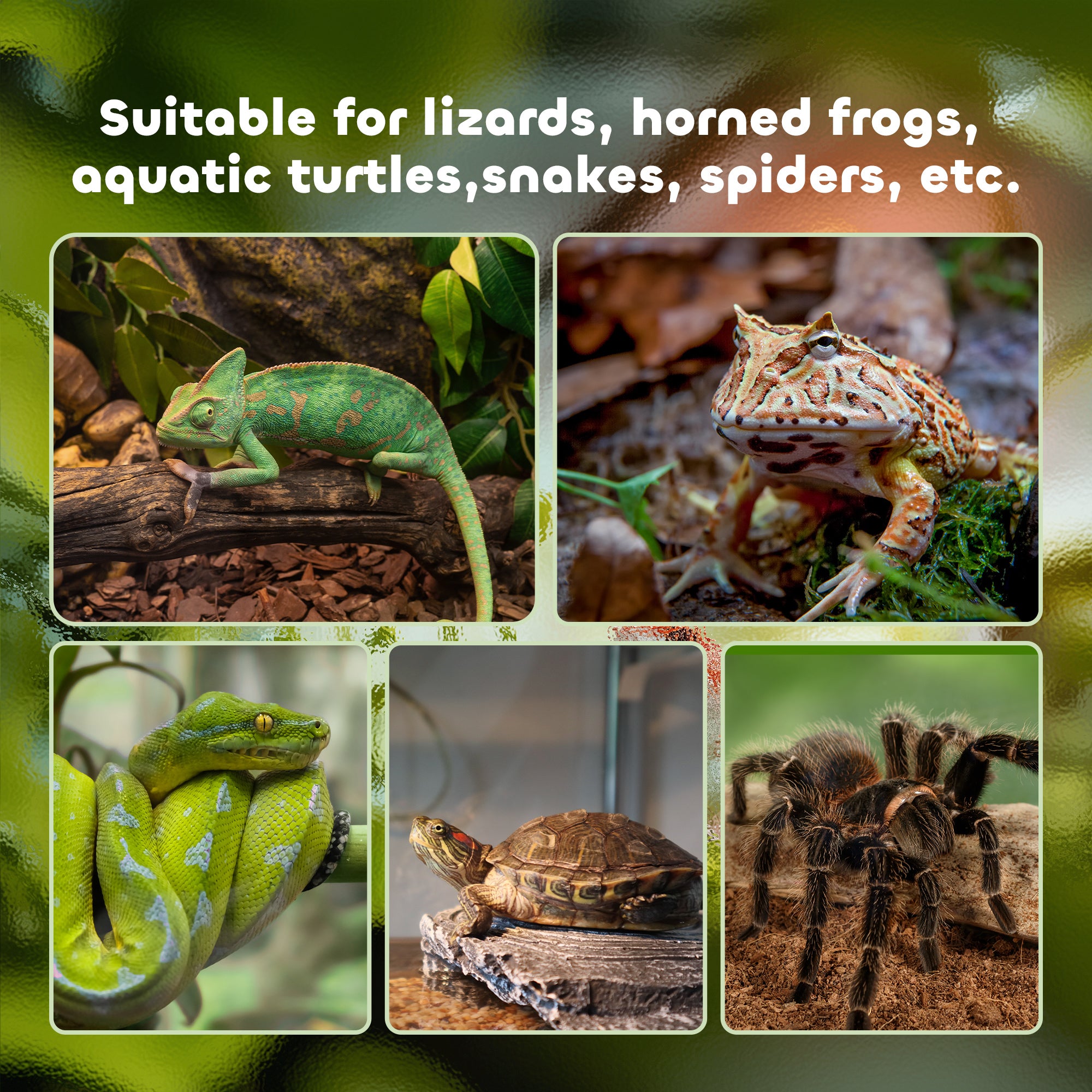 PawHut Glass Reptile Terrarium Insect Breeding Tank Vivarium Habitats with Thermometer for Lizards, Horned Frogs, Snakes, Spiders - Medium 50 x 30 x 25cm - North Peak Garden Furniture