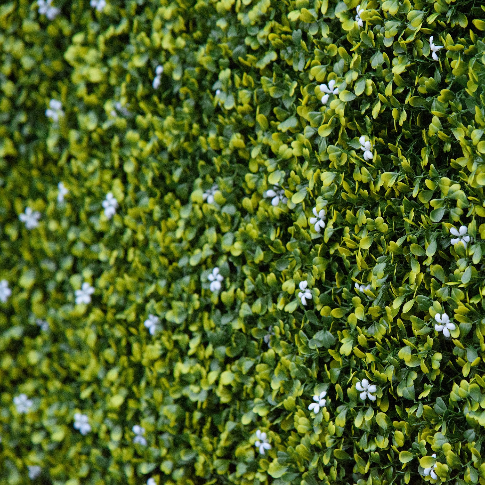 Outsunny 12PCS Artificial Boxwood Wall Panels 50cm x 50cm Grass Privacy Fence Screen Faux Hedge Greenery Backdrop Encrypted Milan Grass with White Flowers for Home Garden Backyard Balcony - North Peak Garden Furniture