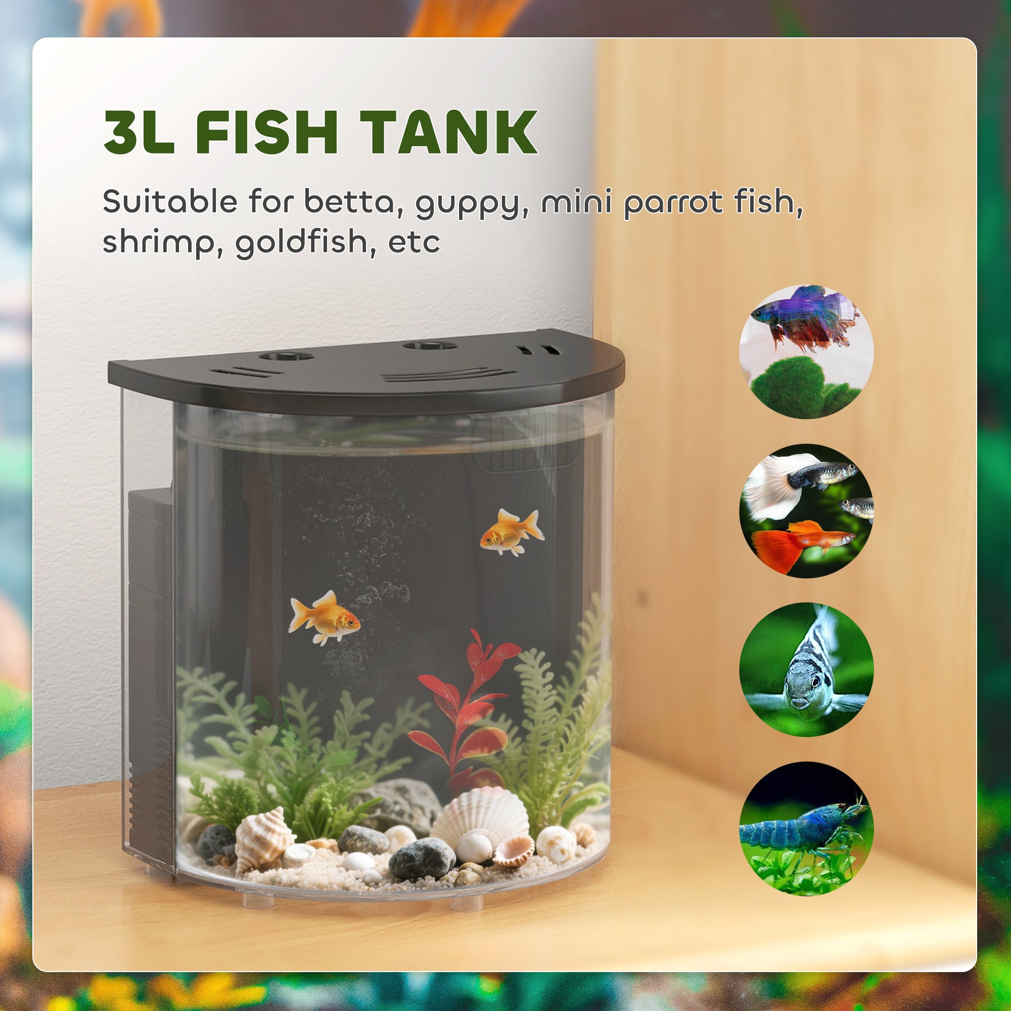 PawHut 3L Small Fish Tank with Filter System, LED Light, Small Fish Tank for Betta, Goldfish, Shrimp, Black - North Peak Garden Furniture
