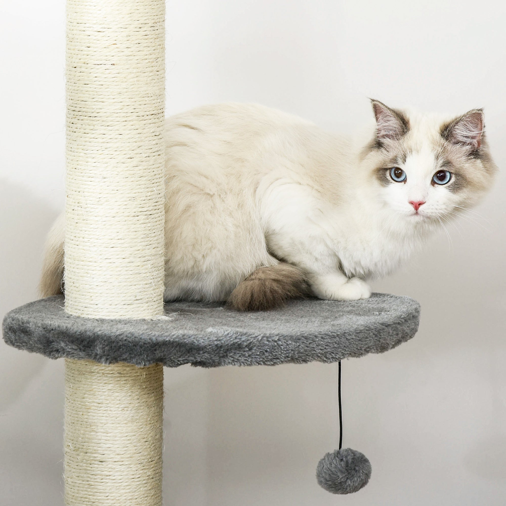 PawHut Floor to Ceiling Cat Tree for Indoor Cats, Kitten Tower, Condo, Multi-Layer Activity Center, Indoor Pet Play House with Solid Scratching Post Hanging Balls, Light Grey - North Peak Garden Furniture