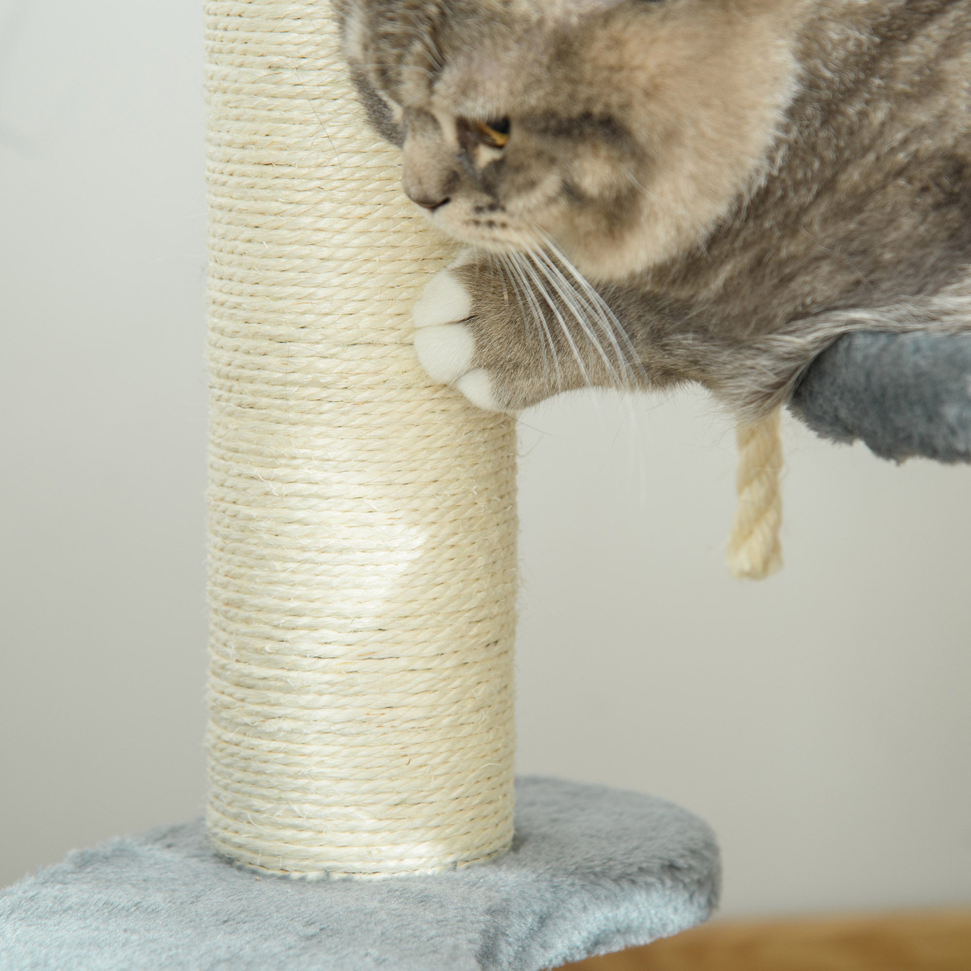 PawHut 65cm Cat Tree, Cat Tower for Kittens, Small Cat Condo with Sisal Scratching Posts, Hanging Rope, Perches - Grey