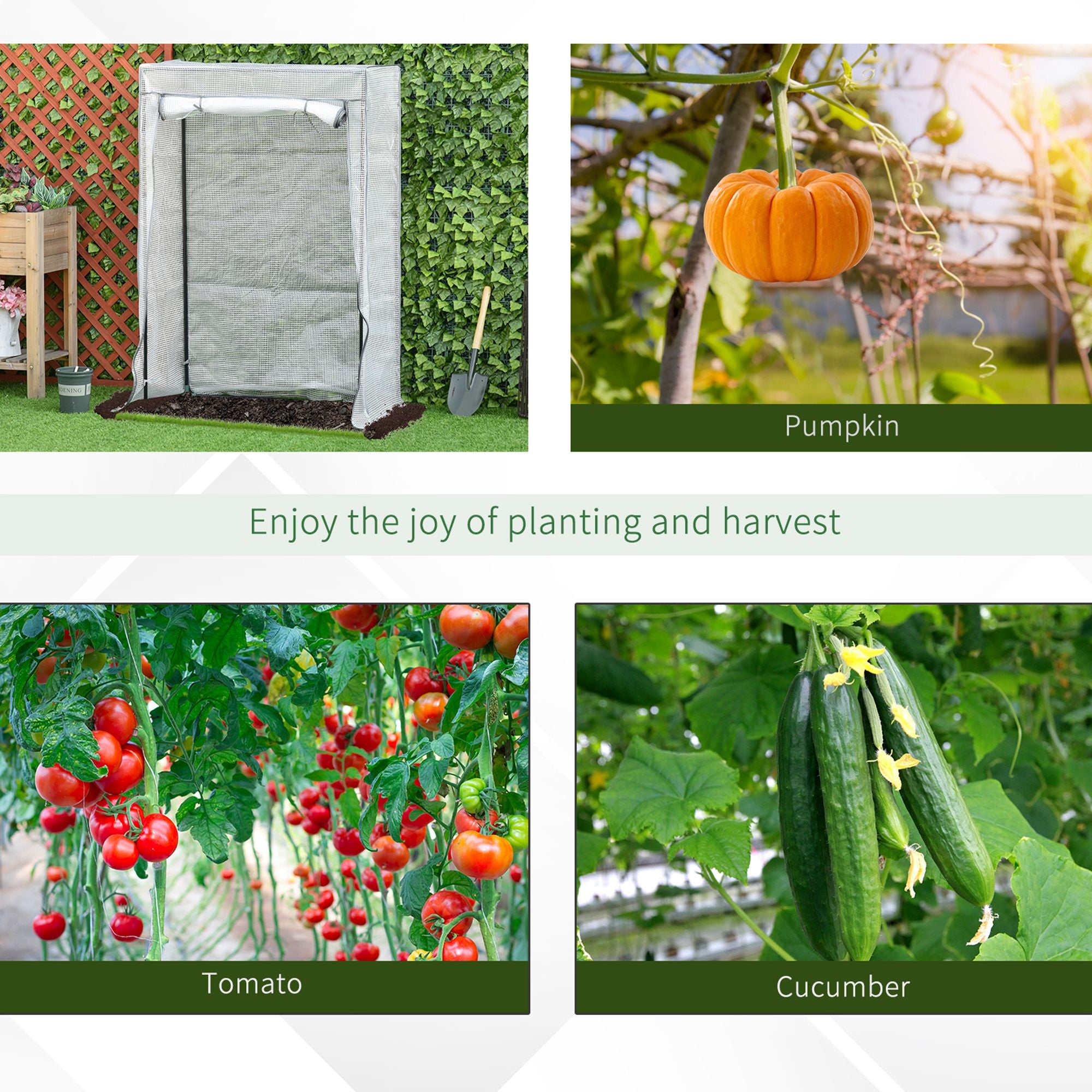 Outsunny 100 x 50 x 150cm Tomato Greenhouse with Roll-up Door, Mini Greenhouse with PE Cover, Outdoor Grow House Small Green House for Yard, Balcony, Garden, White - North Peak Garden Furniture