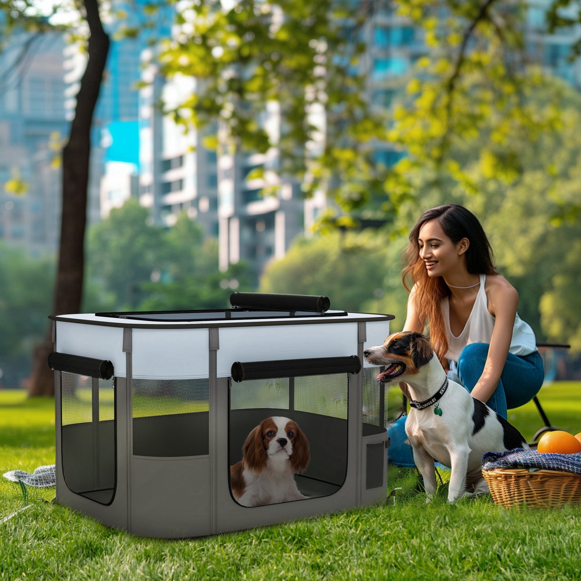 PawHut Foldable Dog Pen with Storage Bag for Indoor/Outdoor Use, Portable Pet playpen, with Ground Stakes - Grey - North Peak Garden Furniture
