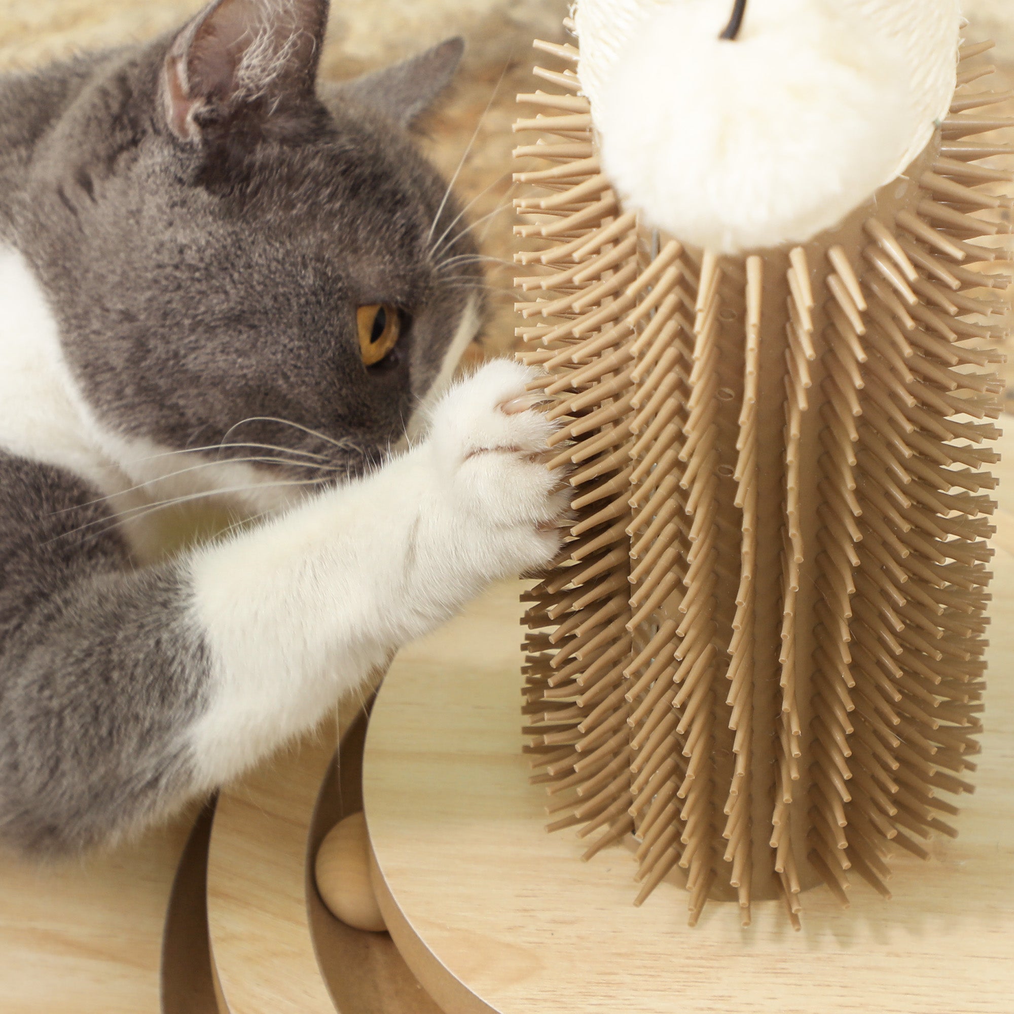 PawHut 49cm 5 in 1 Cat Scratching Post with Sisal Post, Track Ball, Self Grooming Brush, Hanging Toy Ball, Feather, Oak Tone