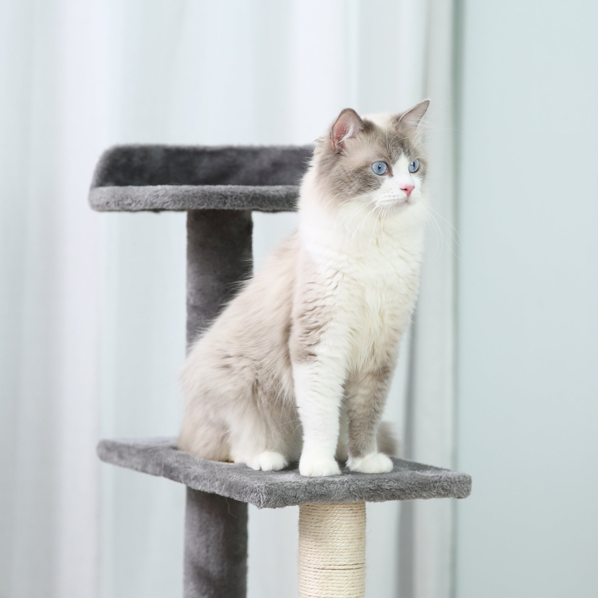 PawHut 100 cm Cat Tree for Indoor Cats Kitten Scratch Scratching Post Climbing Tower Activity Centre Grey - North Peak Garden Furniture