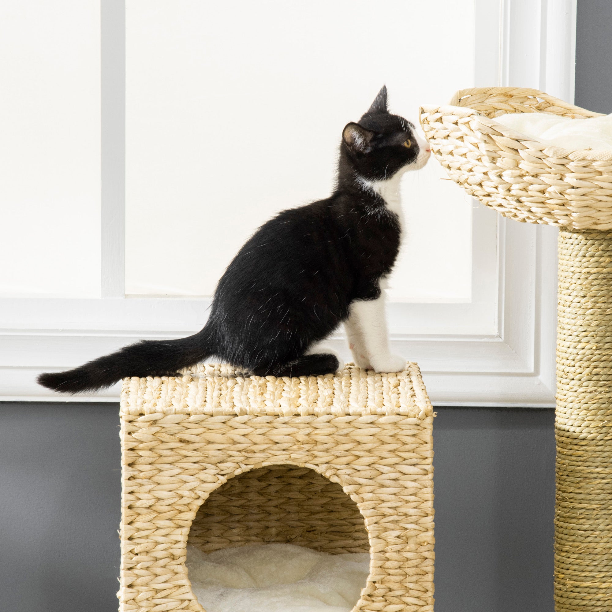 PawHut Cat Tree, with Scratching Posts, Bed, Cat House - Natural Finish - North Peak Garden Furniture