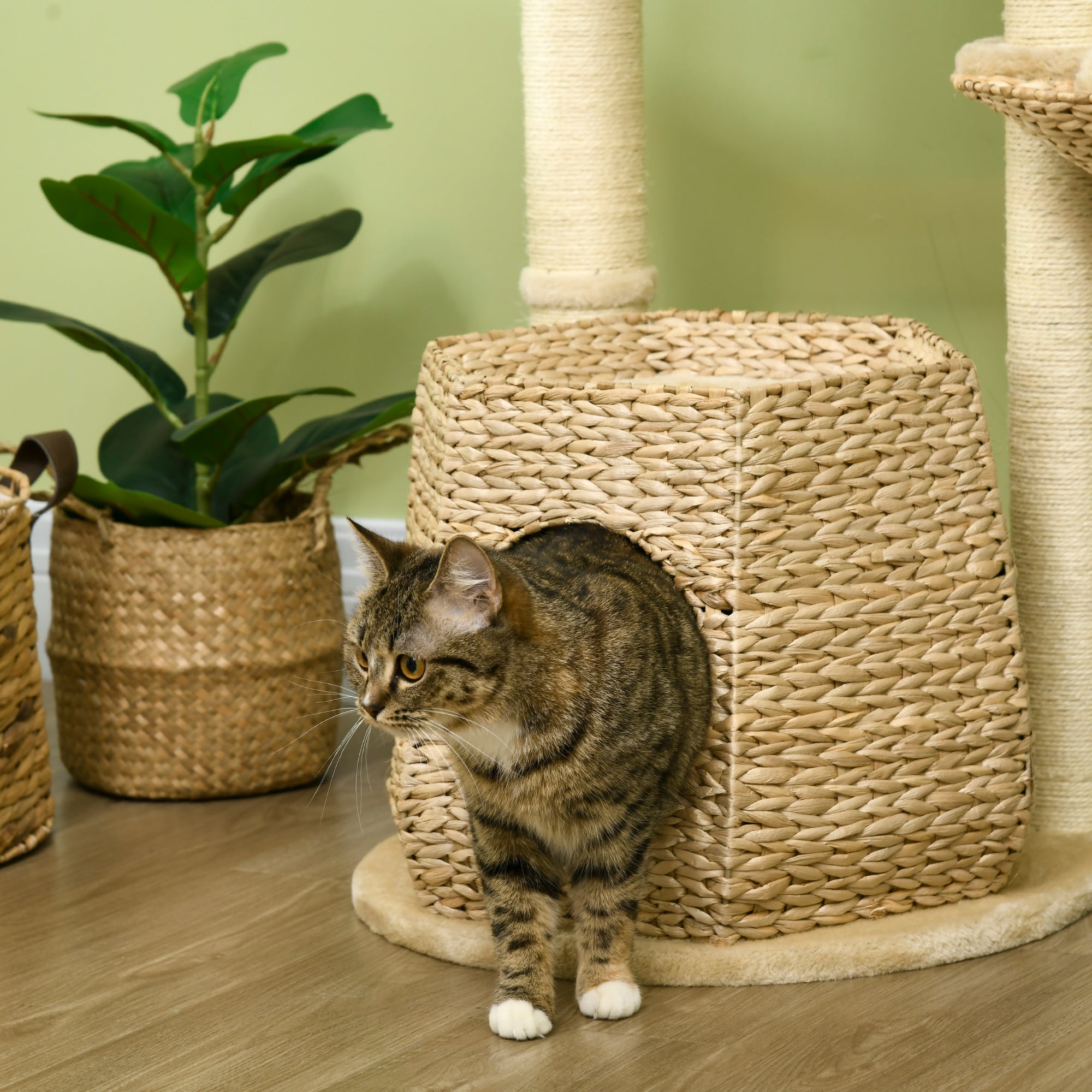 PawHut Cat Tree Activity Centre, with Cattail, Bed, Cat House, Sisal Post, Ball - Natural Tone - North Peak Garden Furniture