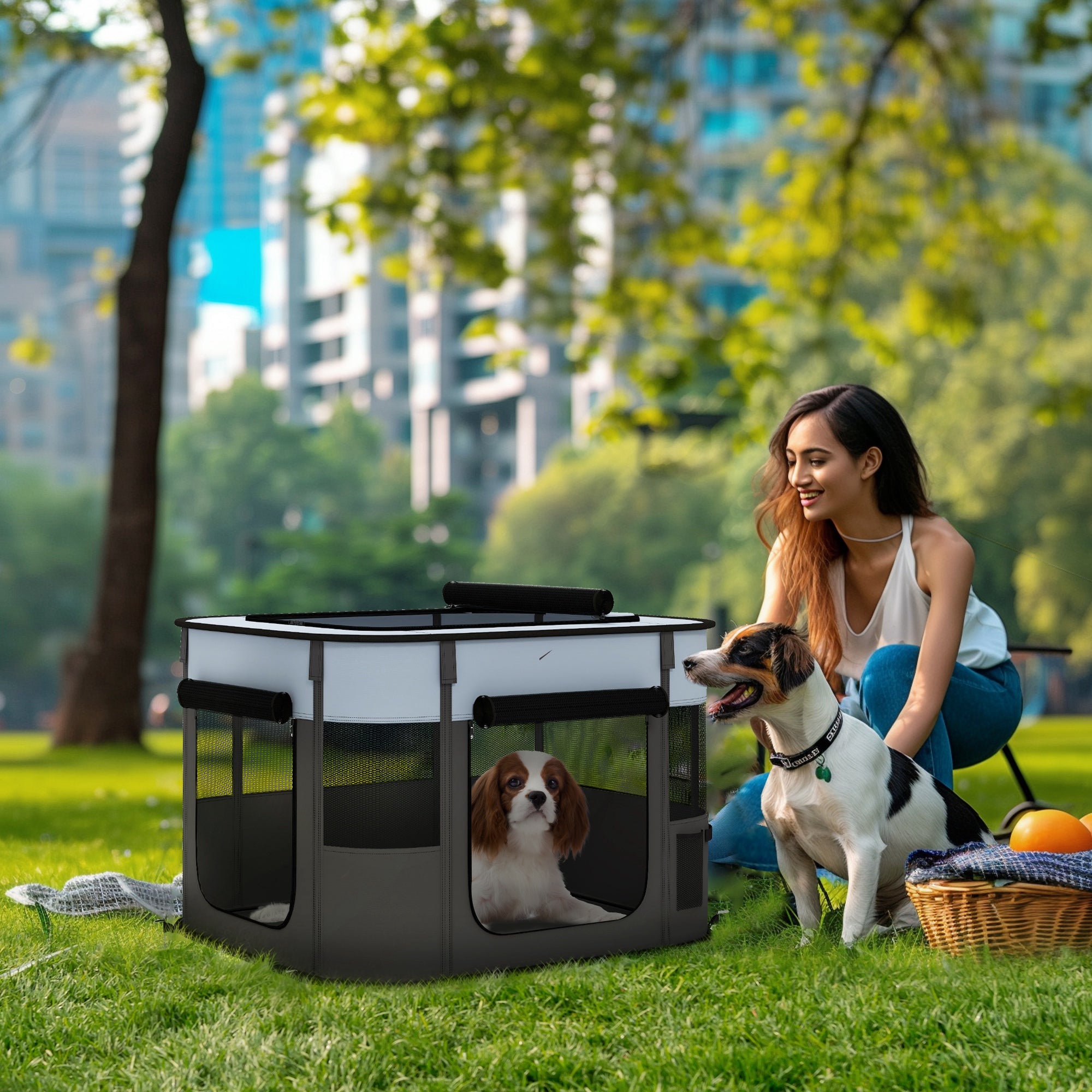 PawHut Foldable Dog Pen with Storage Bag for Indoor/Outdoor Use, Portable Pet playpen, with Ground Stakes - Grey - North Peak Garden Furniture