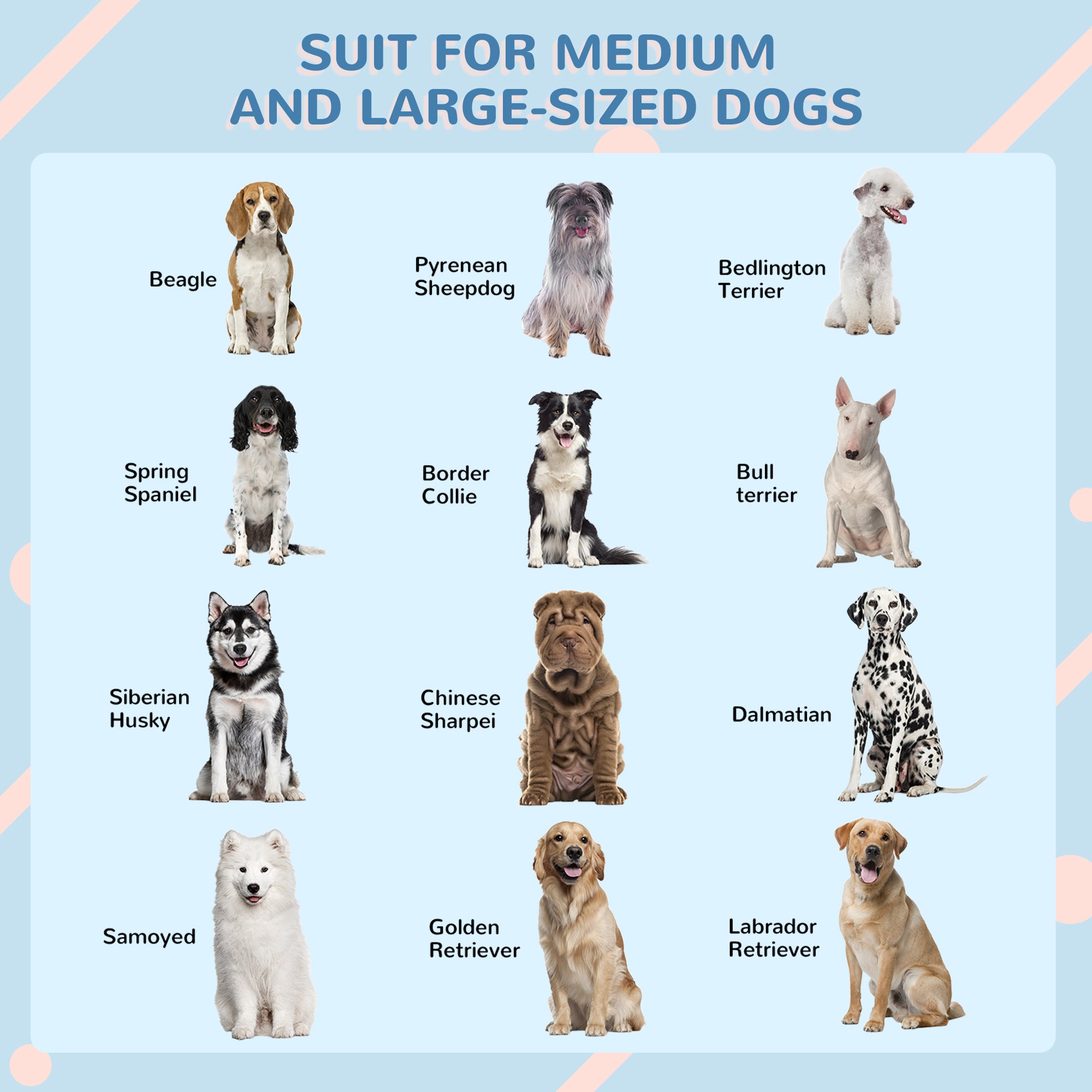 PawHut Plastic Weather-Resistant Dog House, for Indoors and Outdoors, Large Dogs - White and Blue - North Peak Garden Furniture