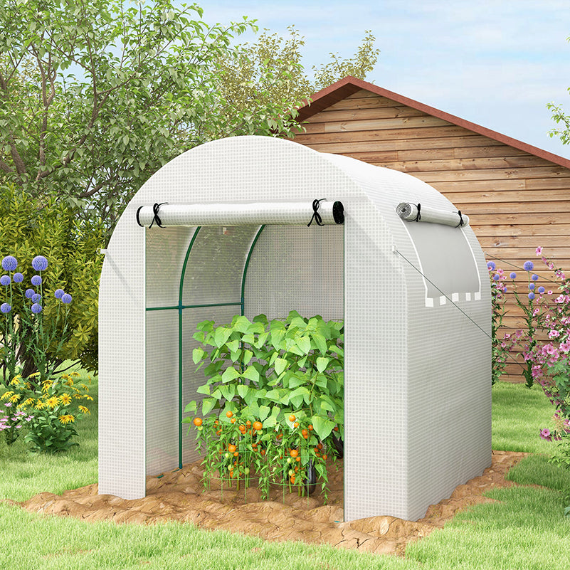 Outsunny Walk in Polytunnel Greenhouse, Green House for Garden with Roll-up Window and Door, 1.8 x 1.8 x 2 m, White - North Peak Garden Furniture