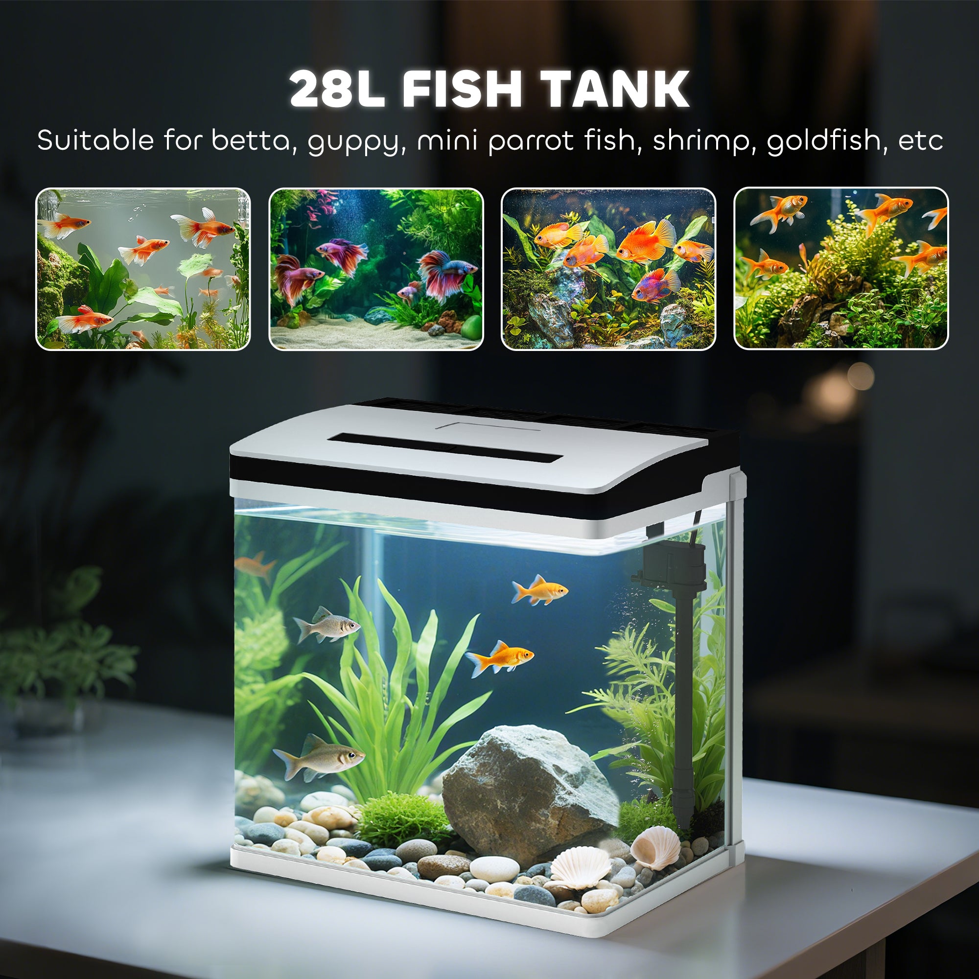 PawHut 28L Glass Aquarium Fish Tank with Filter, LED Lighting, for Betta, Guppy, Mini Parrot Fish, Shrimp, 38 x 26 x 39.5cm - North Peak Garden Furniture