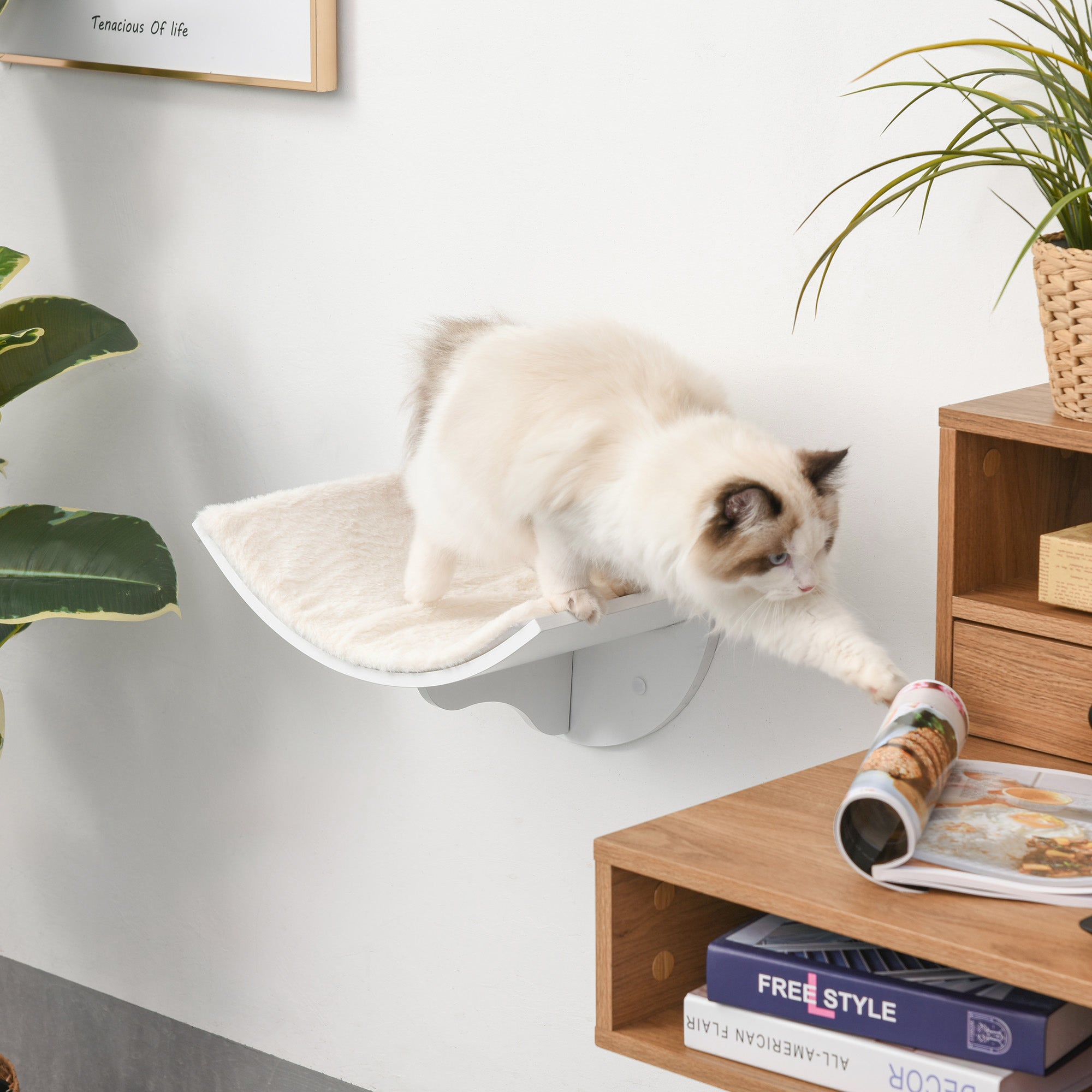 PawHut Wall-Mounted Wood Cat Shelves, Curved Kitten Bed, Climber Perch, Modern Cat Furniture