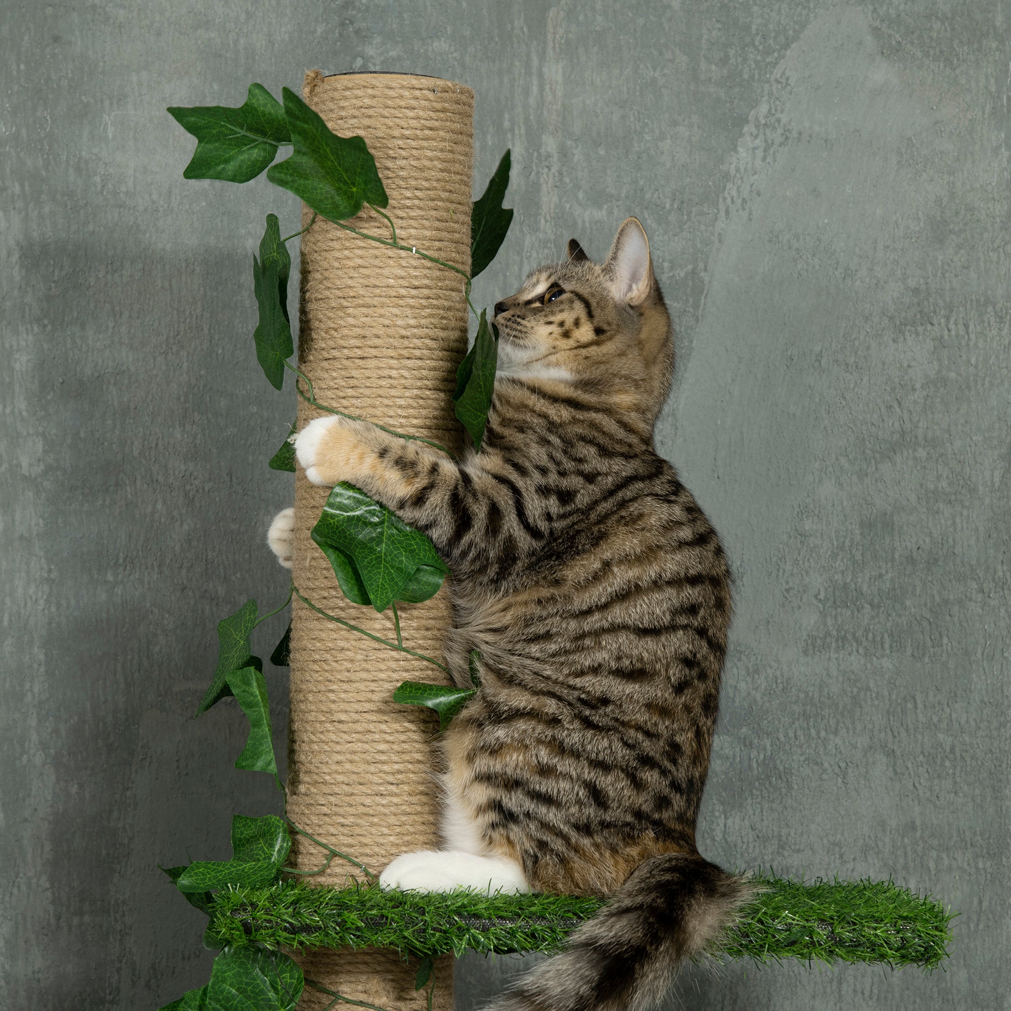 PawHut 242cm Adjustable Floor-To-Ceiling Cat Tree, with Artificial Decoration, Perches, Anti-Slip Kit - Green