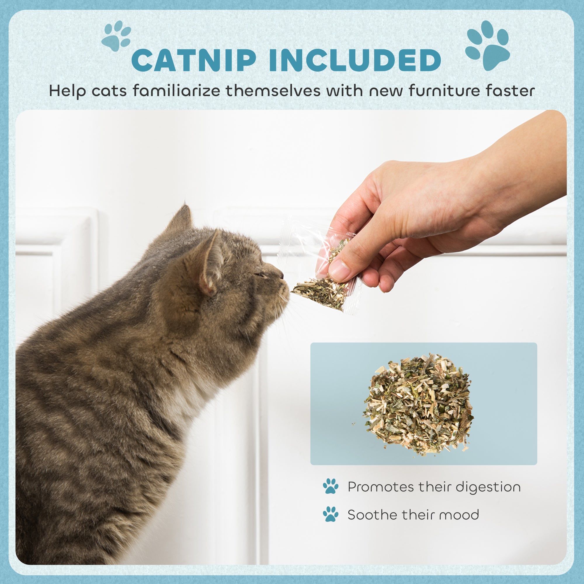 PawHut 2 in 1 Cat Scratcher with Catnip for Indoor Cats, 30.5 x 55 x 31.5cm, Light Blue - North Peak Garden Furniture