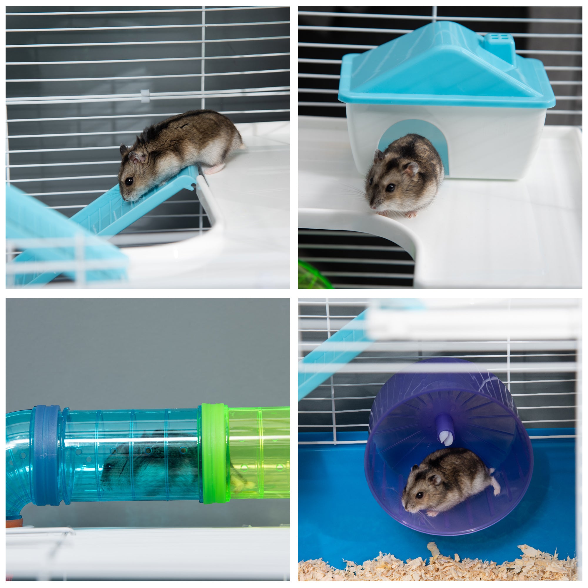 PawHut Hamster Cage with Tunnel Tube System, 5 Level Gerbil Haven with Water Bottle, Exercise Wheel, Food Dish, Ramps 59 cm x 36 cm x 69 cm - Blue - North Peak Garden Furniture
