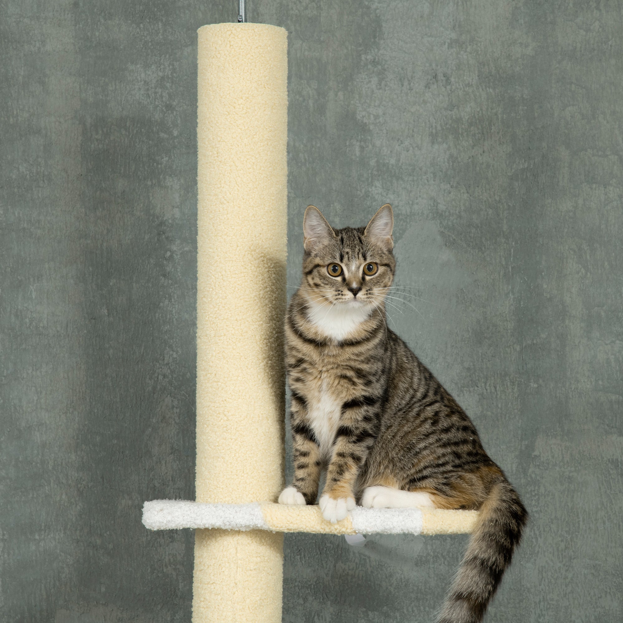 PawHut 260cm Adjustable Floor-To-Ceiling Cat Tree w/ Anti-Tipping Kit, Toy Ball - North Peak Garden Furniture