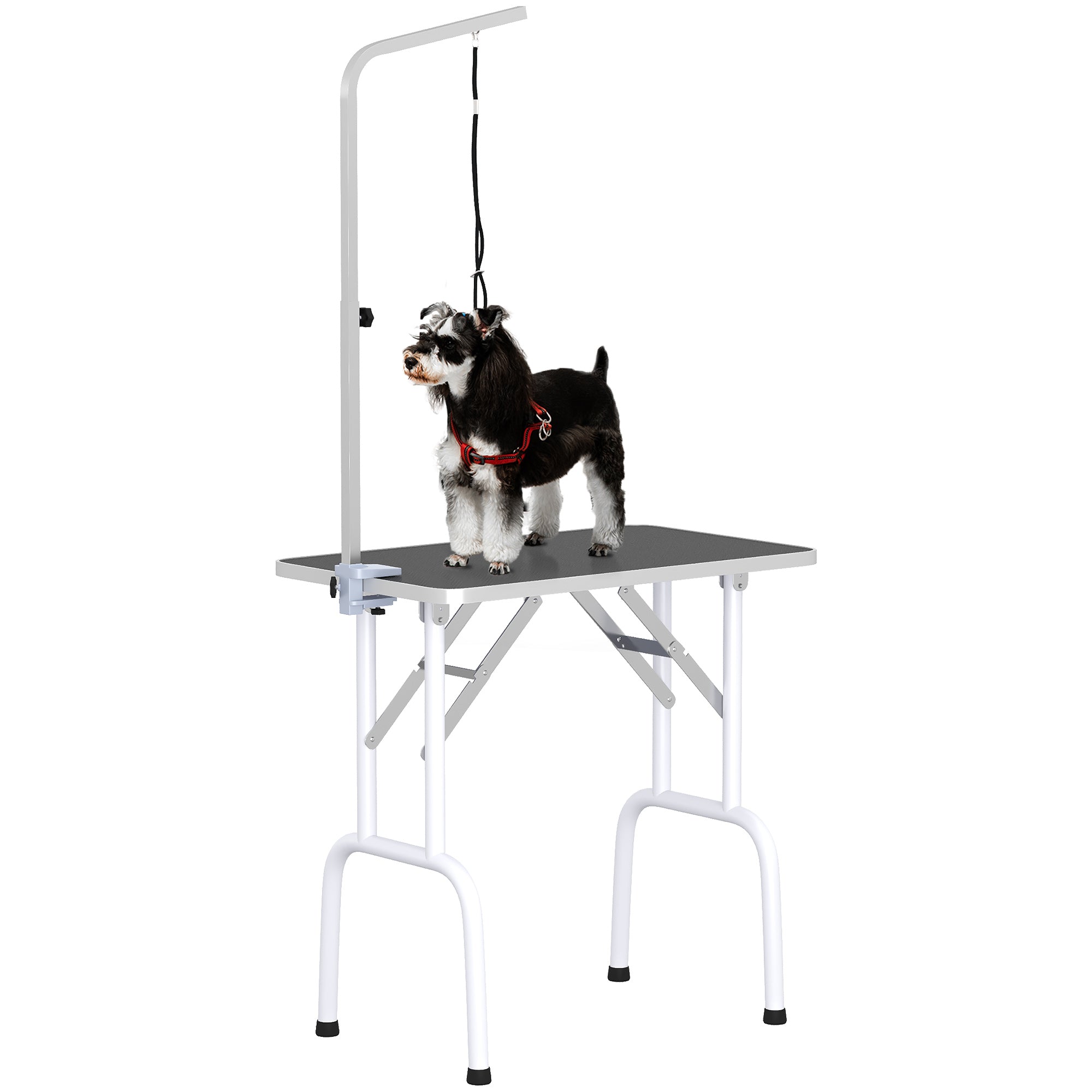 PawHut 32" Foldable Dog Grooming Table Pet Drying Beauty Table Adjustable Fixed Arm Rubber Top for Small Dogs