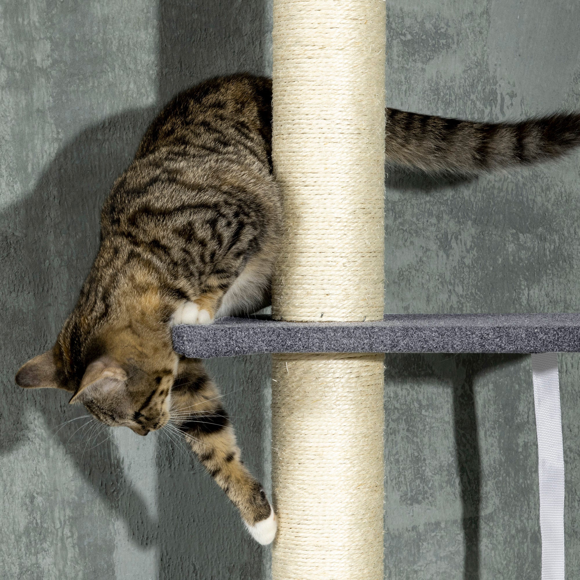 PawHut 240-270cm Floor-To-Ceiling Cat Tree, 5 Tier Cat Climbing Tower, with Bed, Hammock, Platforms, Black and Cream