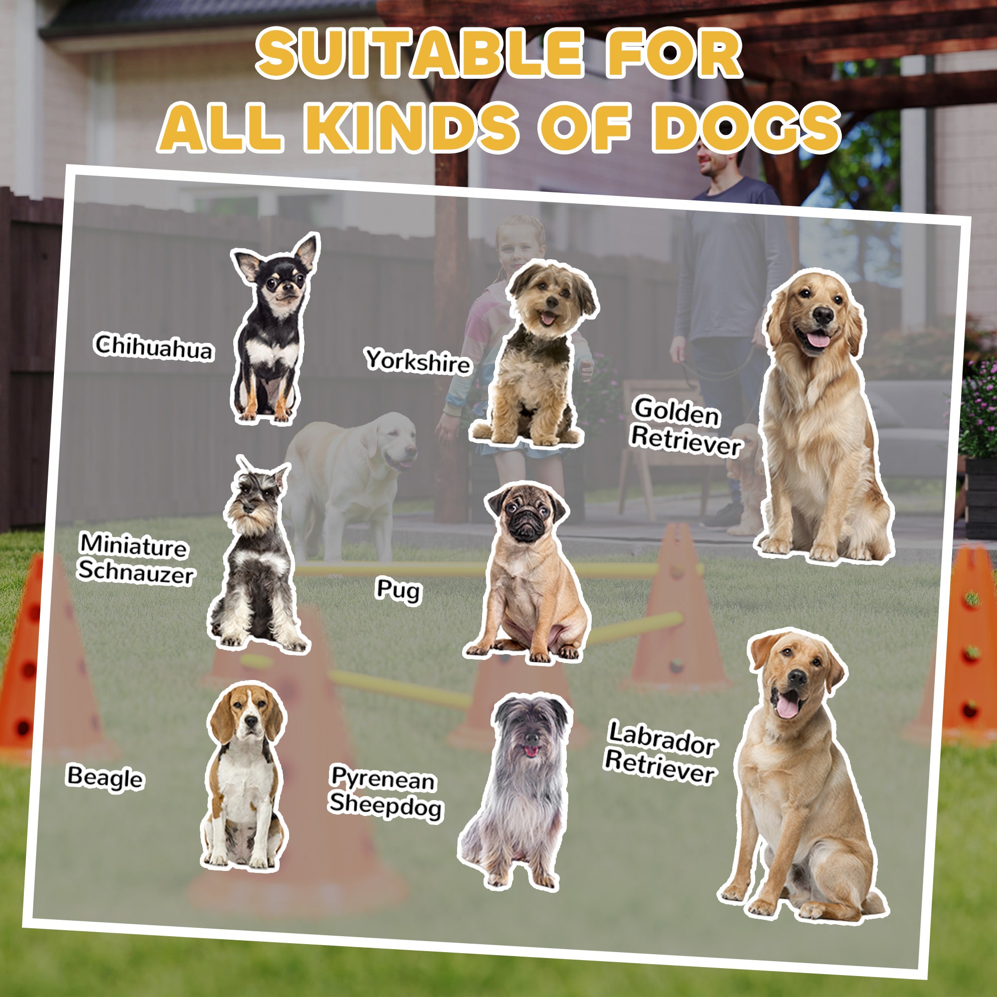 PawHut Dog Agility Equipment Set of 6 Cones, 6 Poles with Carry Bag, 3 PCS Adjustable Height Jumping Obstacles, Orange - North Peak Garden Furniture