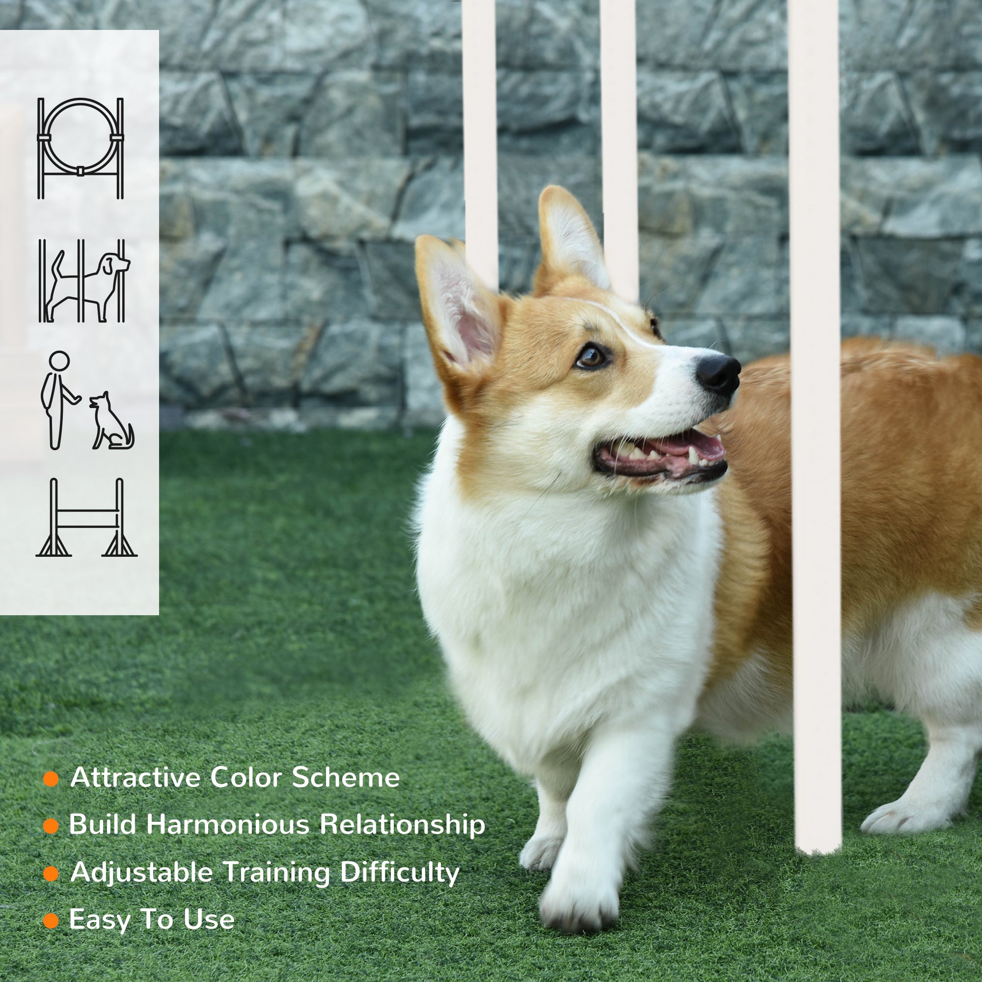 PawHut Dog Agility Training Equipment for Dogs with Carry Bag - Multicoloured - North Peak Garden Furniture