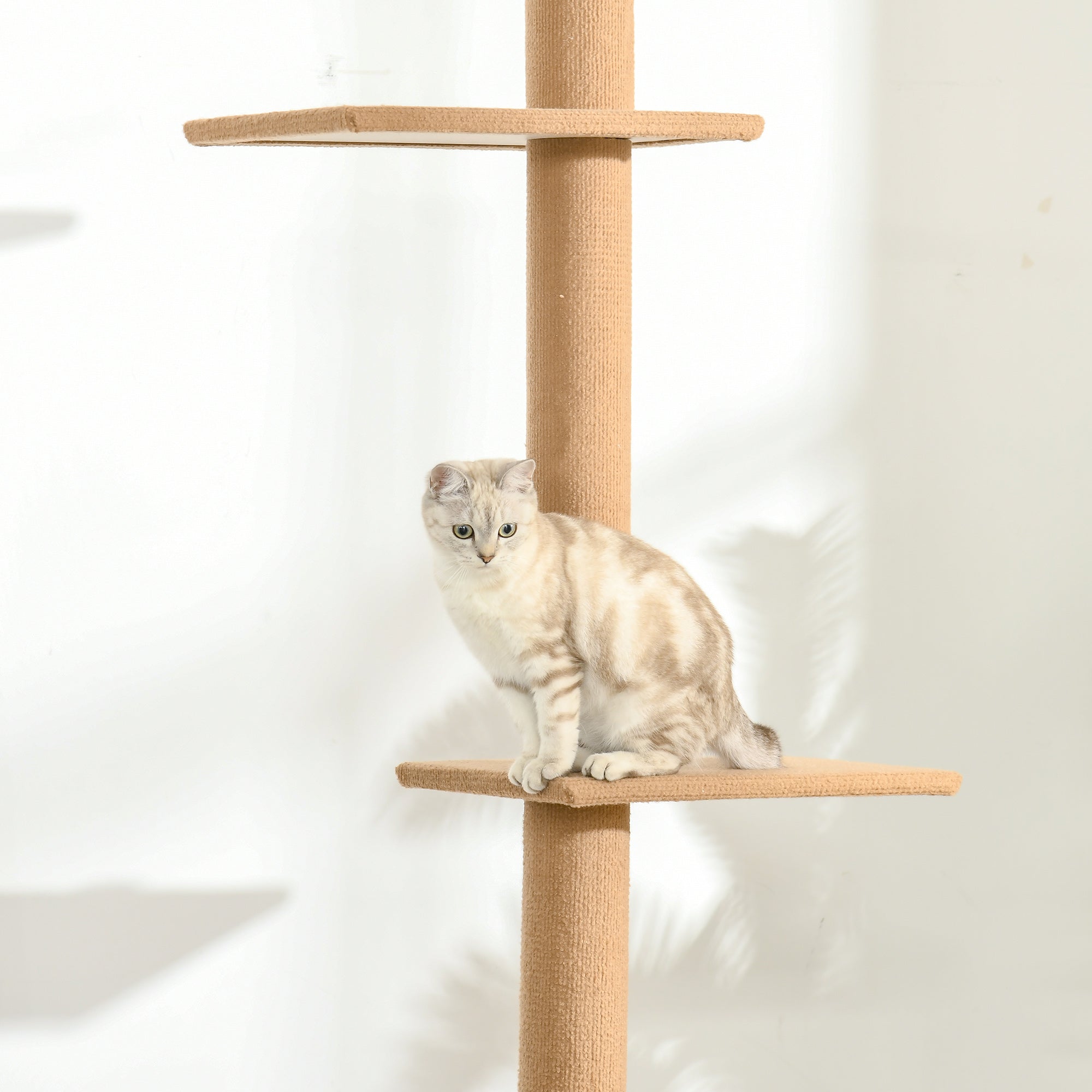 PawHut 260cm Floor To Ceiling Cat Tree for Indoor Cats w/ Three Platforms Activity Centre - Brown