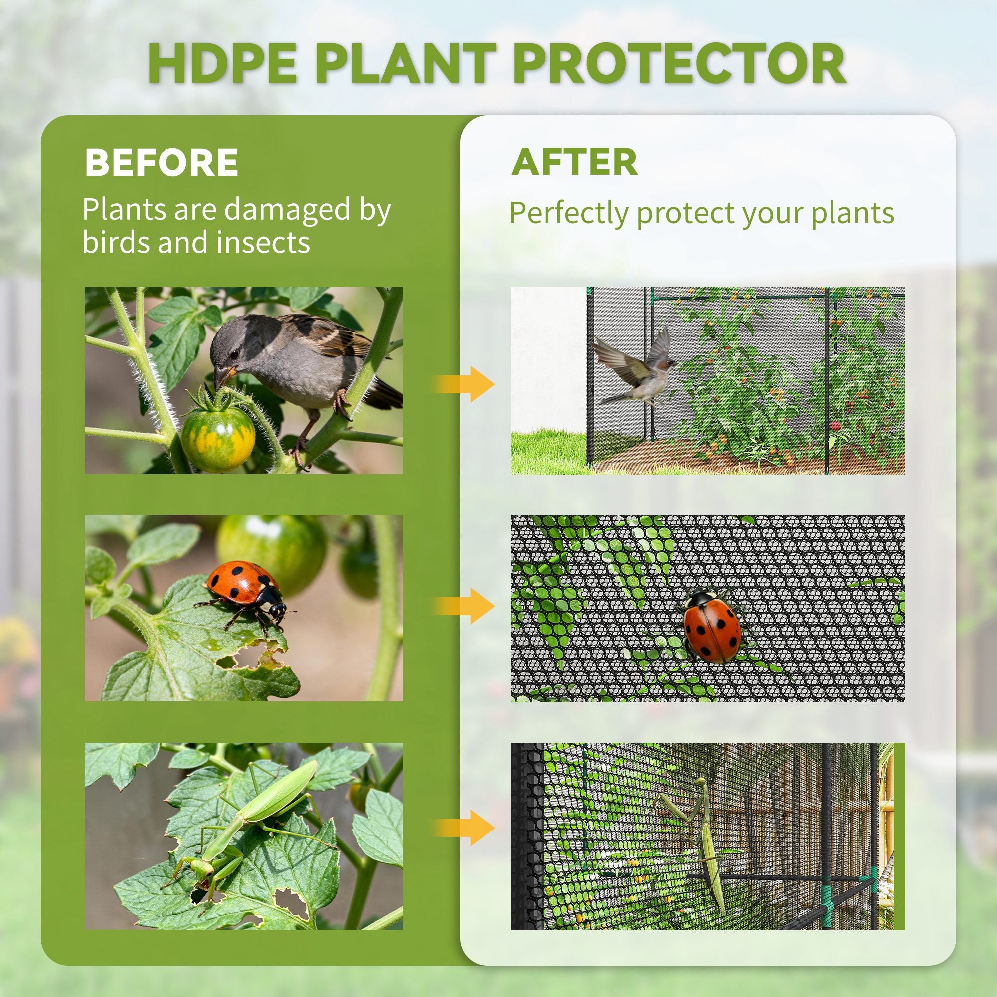 Outsunny Fruit Cage Bird Netting, Brassica Cage Plant Protection Tent with Zipped Door, Anti Bird, Insects, Small Animals, Black