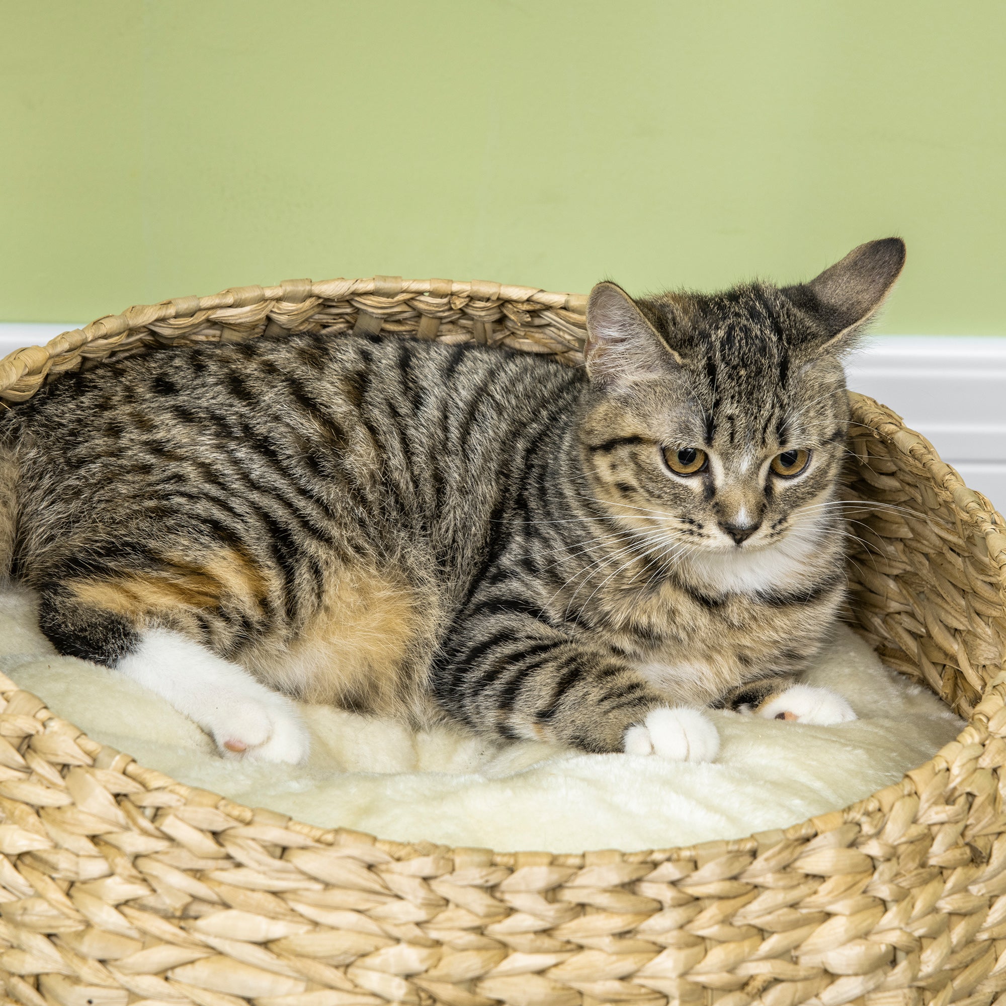 PawHut 72cm Cat Tree Kitten Tower, with Sisal Scratching Post, Two Beds, Toy Ball - North Peak Garden Furniture