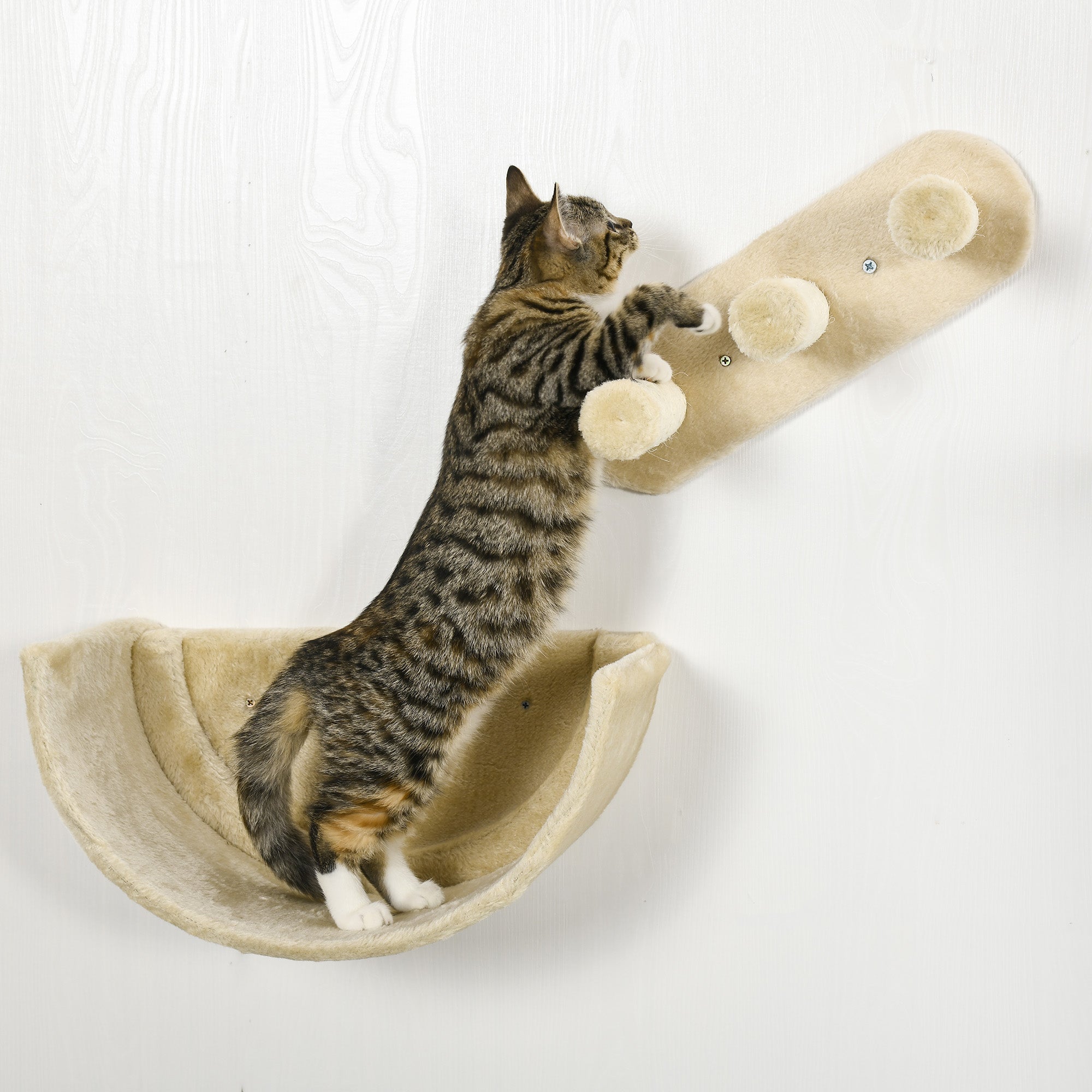 PawHut 4PCs Wall-Mounted Cat Shelves w/ Scratching Post, Hammock, Nest - Beige - North Peak Garden Furniture