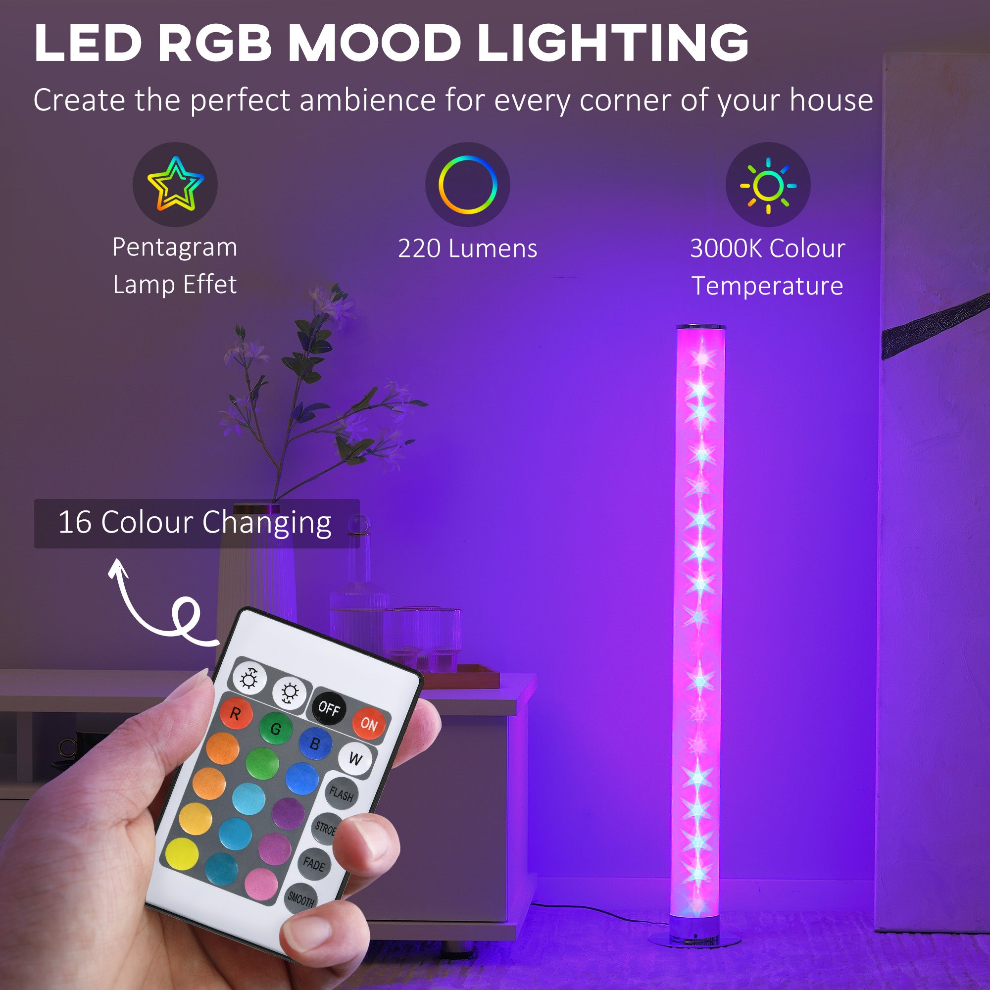 HOMCOM RGB Floor Lamp, Dimmable Corner Lamp with Remote Control & 16 Colours Effects, LED Modern Mood Lighting for Living Room Bedroom Gaming Room, Max Power 5W - North Peak Garden Furniture