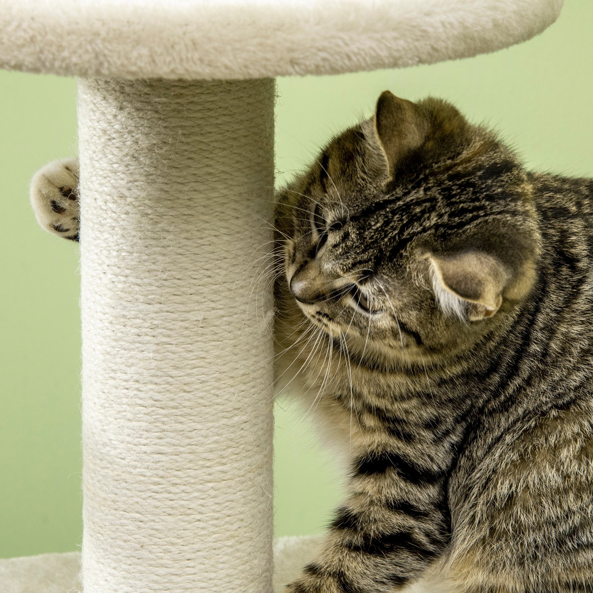 PawHut Cat Tree, with Scratching Post, Cat House & Hanging Toy Ball - Beige - North Peak Garden Furniture