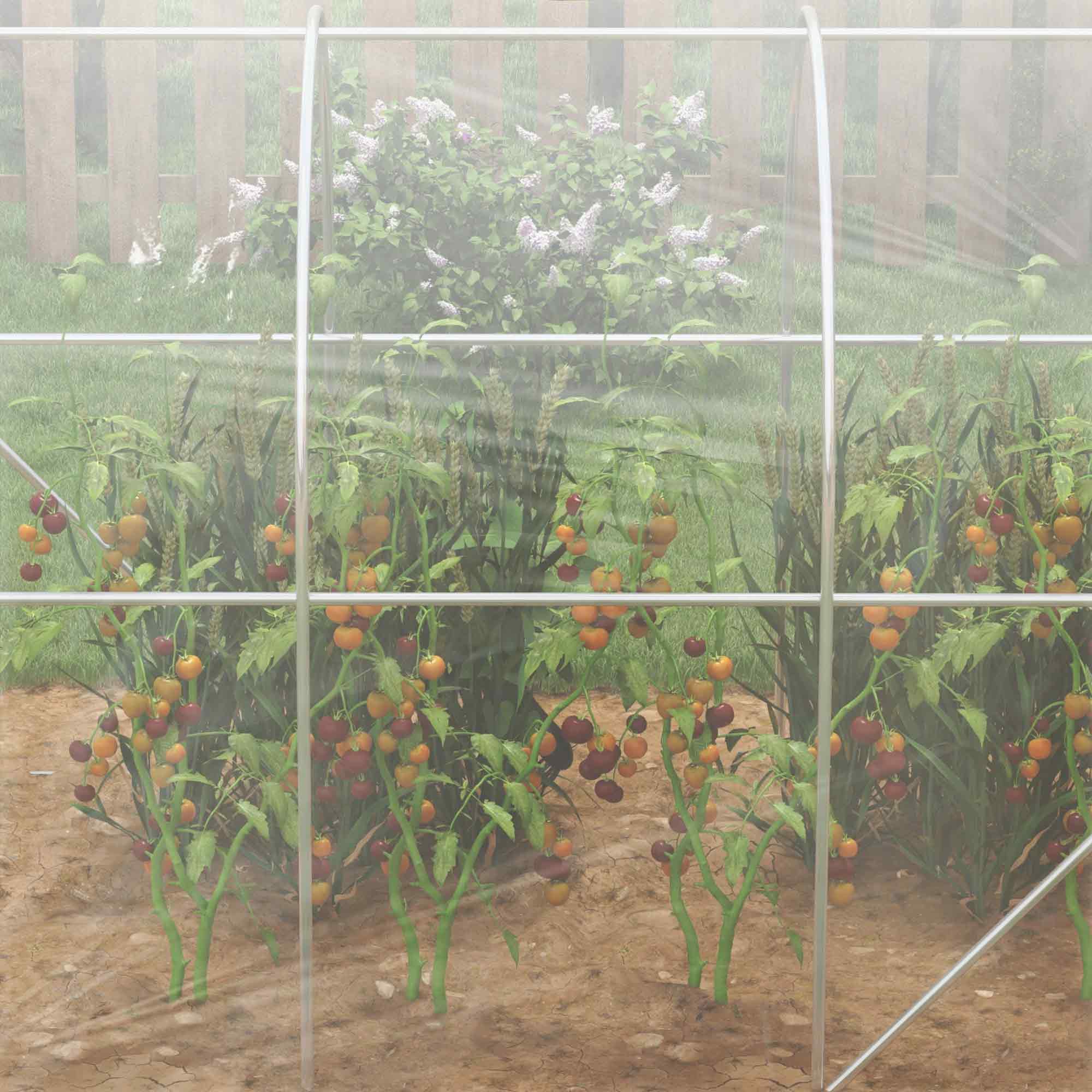Outsunny Polytunnel Greenhouse Walk-in Grow House with PE Cover, Door and Galvanised Steel Frame, 3 x 2 x 2m, Clear - North Peak Garden Furniture