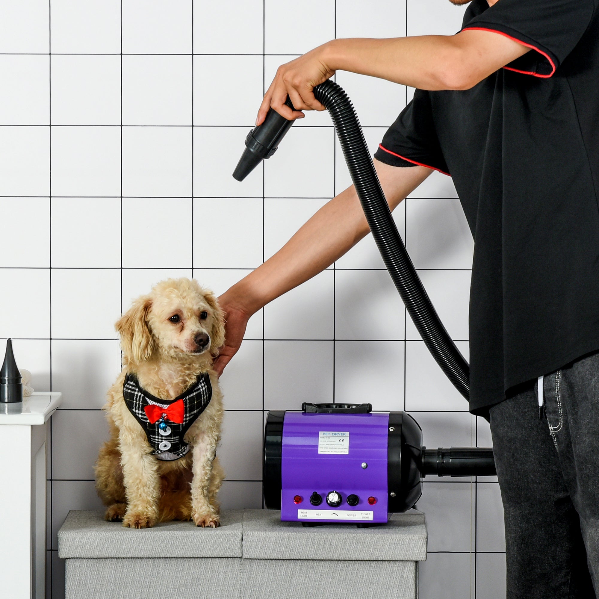 PawHut 2800W Dog Hair Dryer Pet Grooming Blaster Water Blower Dryer w/ 3 Nozzles, Purple - North Peak Garden Furniture