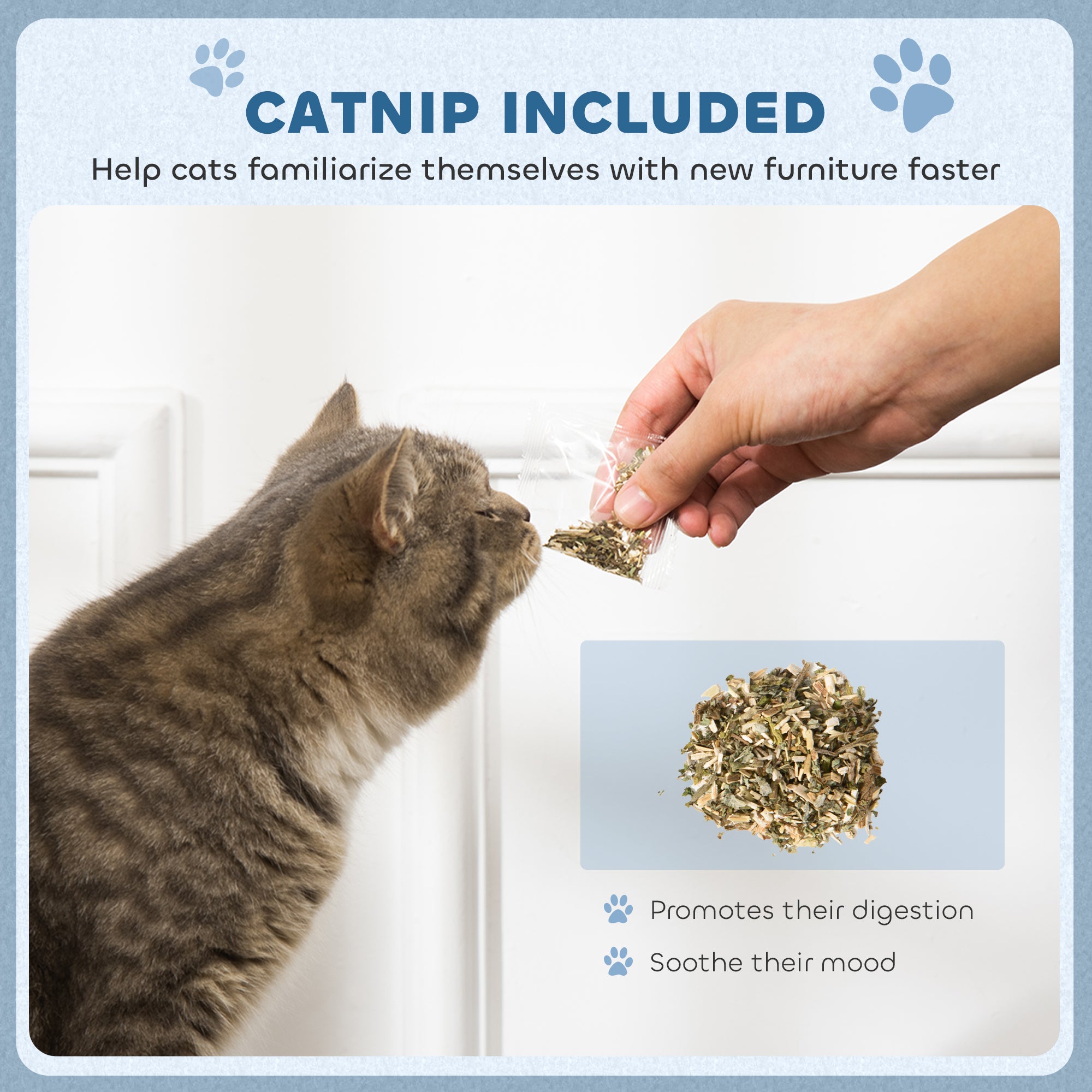 PawHut 2 in1 Cat Scratching Board with Catnip for Indoor Cats, 26.5 x 57 x 26.5cm, Blue - North Peak Garden Furniture