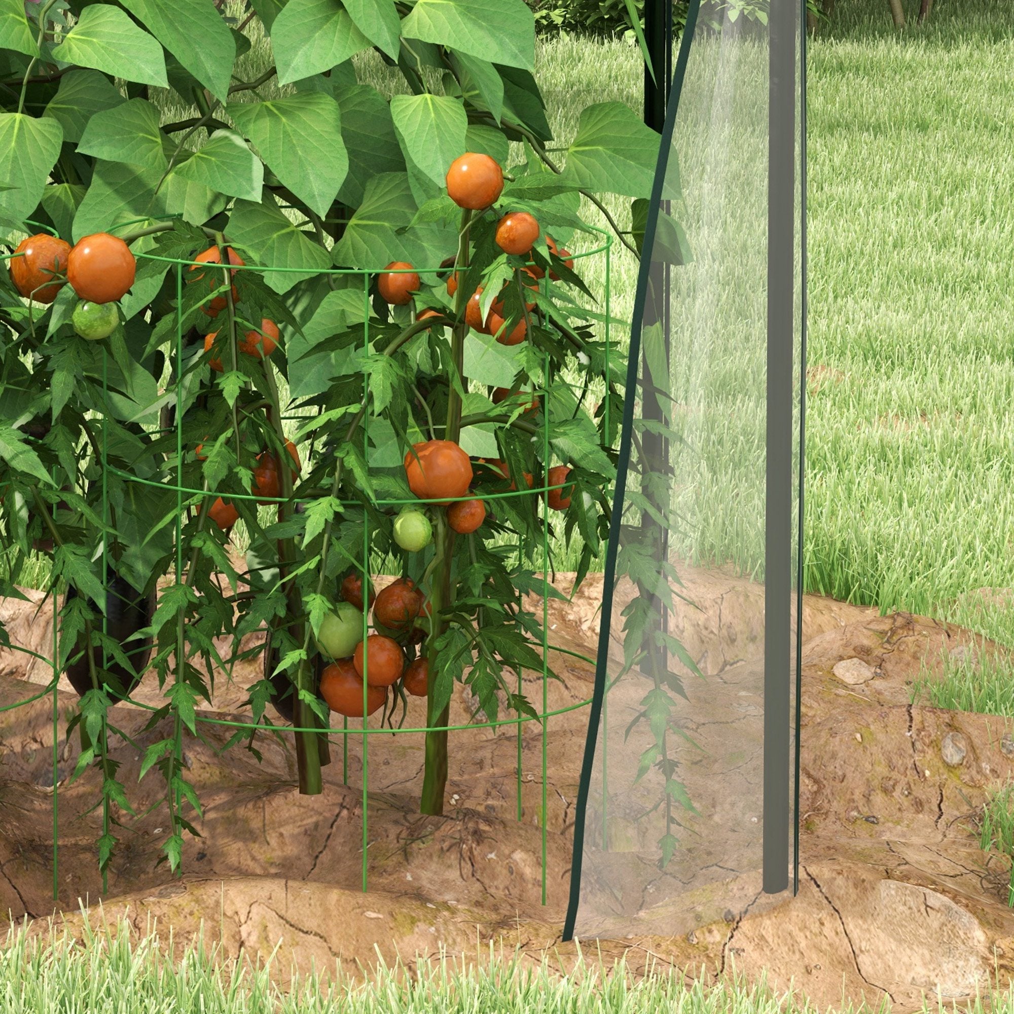 Outsunny Mini Greenhouse, Garden Tomato Growhouse with 2 Zipped Doors, Portable Indoor Outdoor Green House, 90 x 90 x 145cm, Clear - North Peak Garden Furniture
