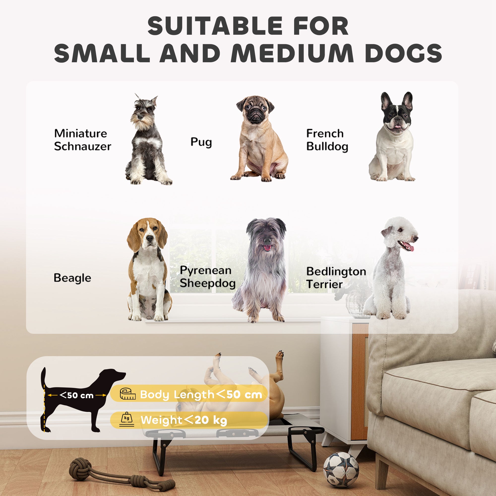 PawHut Portable Raised Dog Bed, Elevated Pet Cot with Breathable Mesh for Indoor Outdoor, for Small Medium Dogs, Light Grey - North Peak Garden Furniture