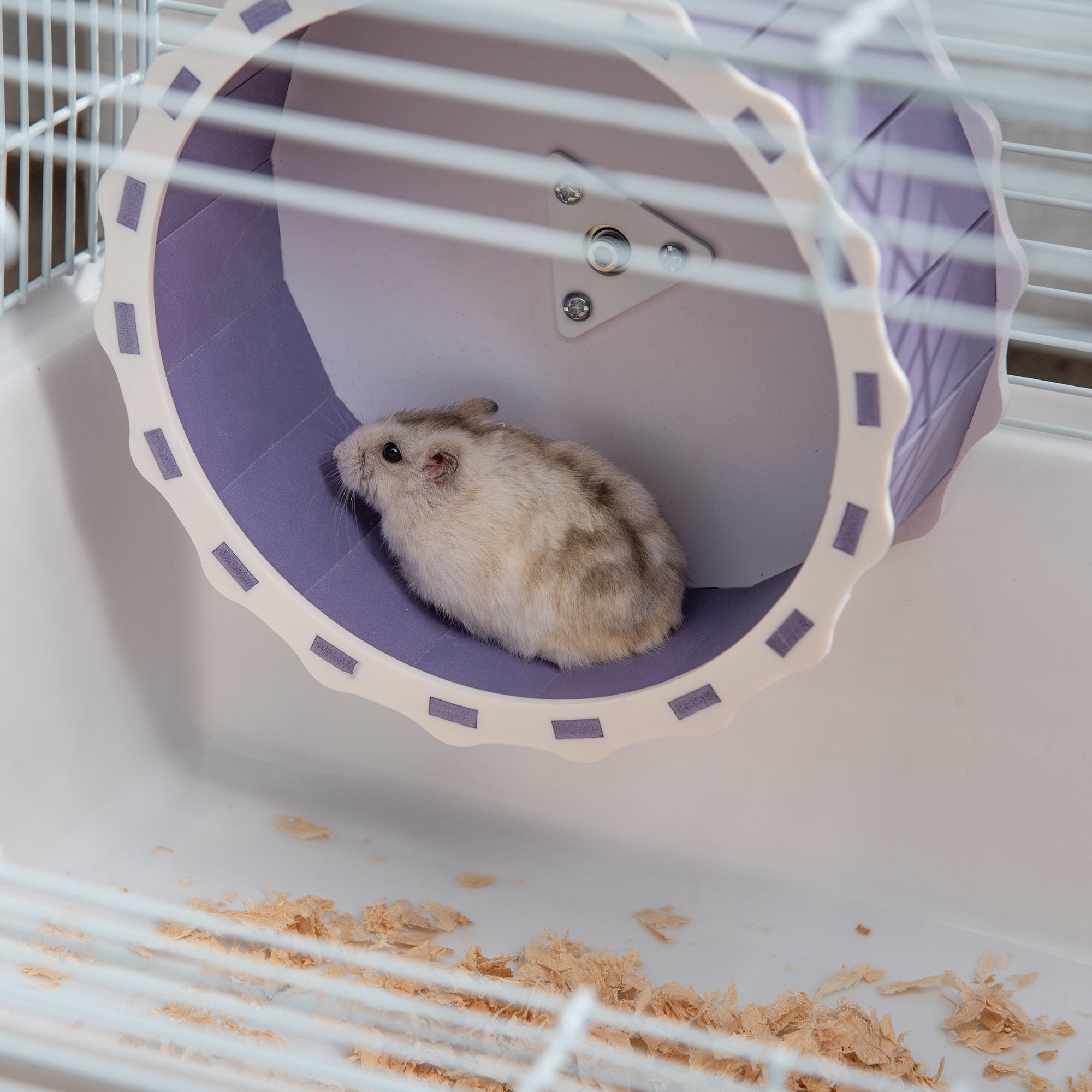 PawHut 2 Tier Hamster Cage Rodent House Small Animal Habitat with Exercise Wheel Water Bottle Ladder, White - North Peak Garden Furniture