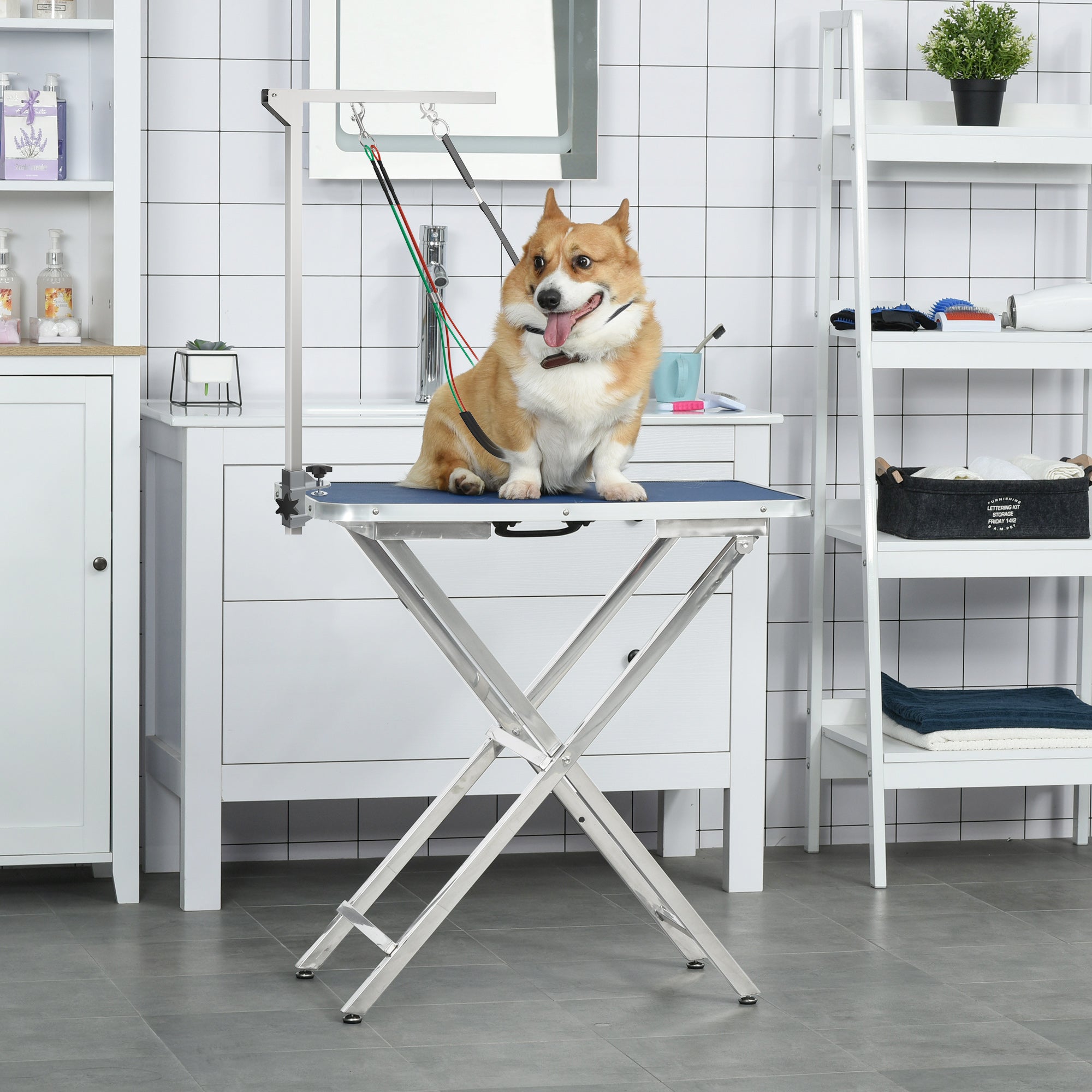 PawHut Adjustable Pet Grooming Arm, with Clamp, Haunch Holders & Grooming Loop - Sliver-Tone - North Peak Garden Furniture