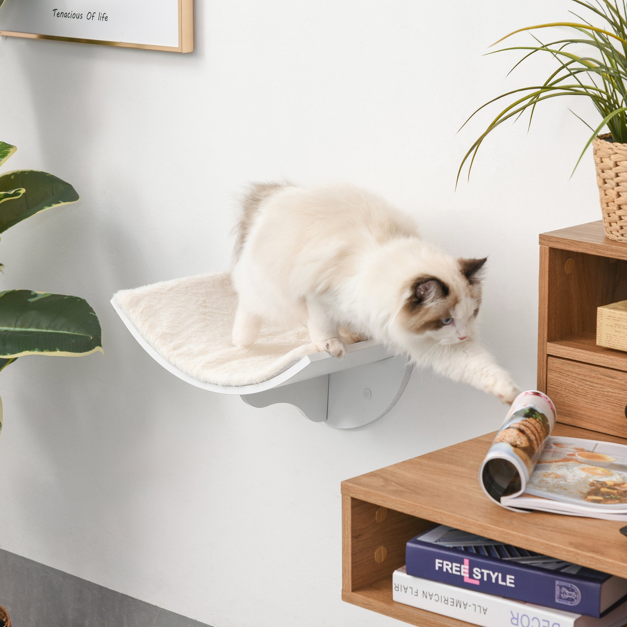 PawHut Wood Cat Shelves Wall-Mounted Shelter Curved Kitten Bed Cat Perch Climber Cat Furniture 41 x 28 x 21cm White - North Peak Garden Furniture