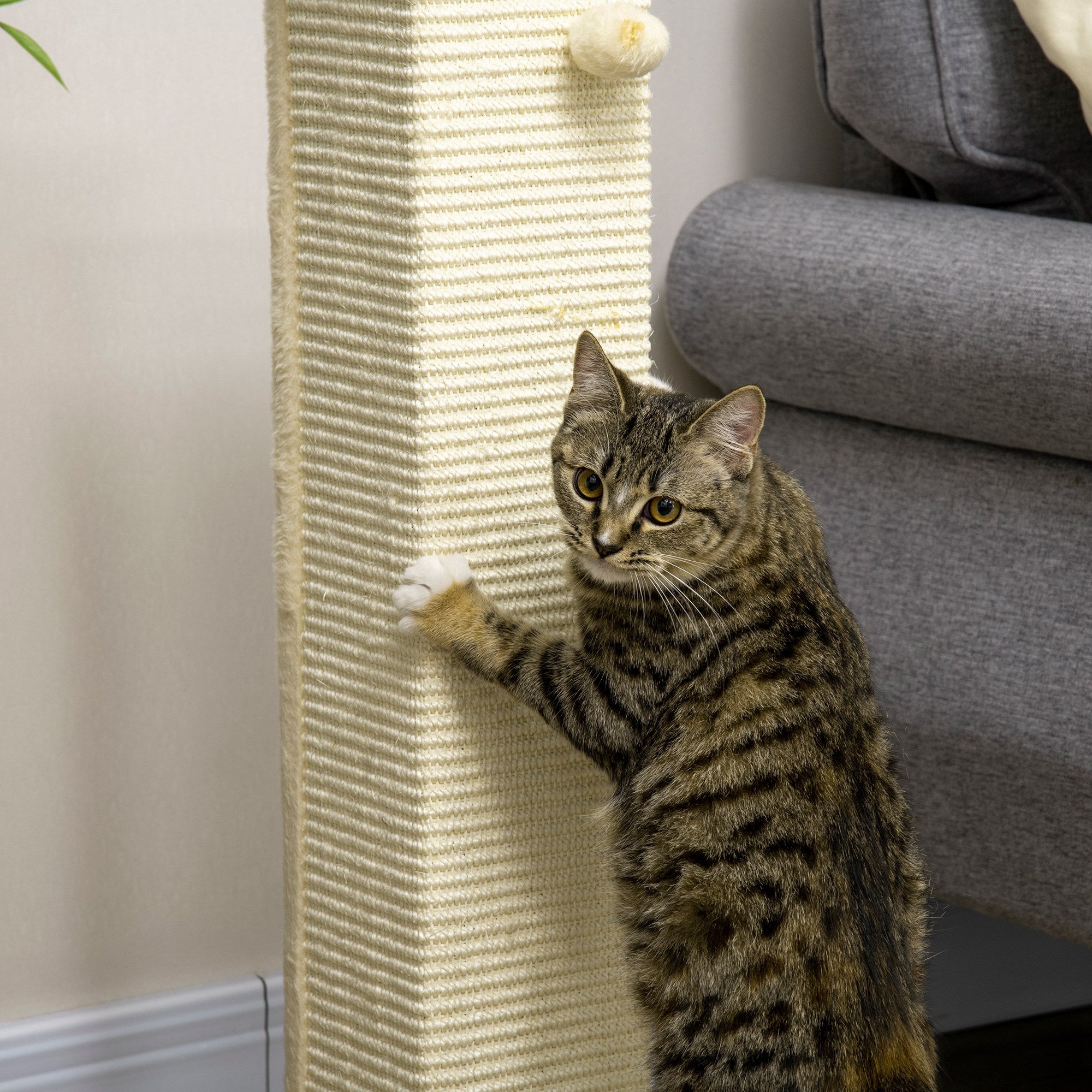 PawHut 80cm Scratching Post, with Toy Ball, Sisal Rope - White - North Peak Garden Furniture