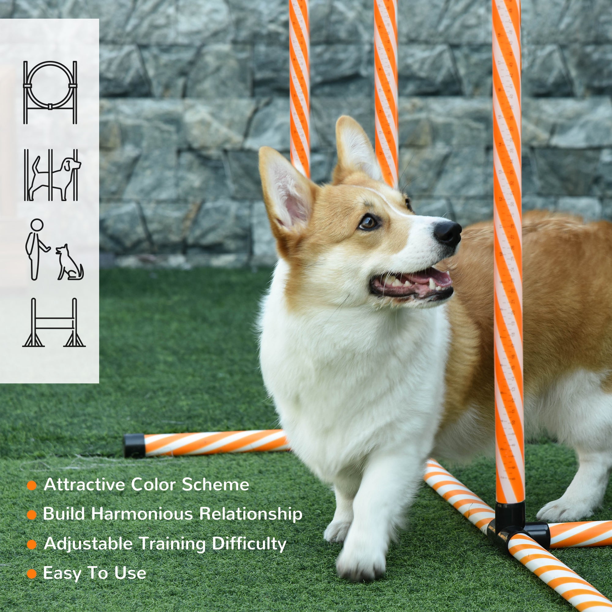 PawHut Dog Agility Equipment Pet Training Set with Adjustable Height Jump Ring Hurdle Whistle Weave Poles Square Pause Box Carry Bag - North Peak Garden Furniture