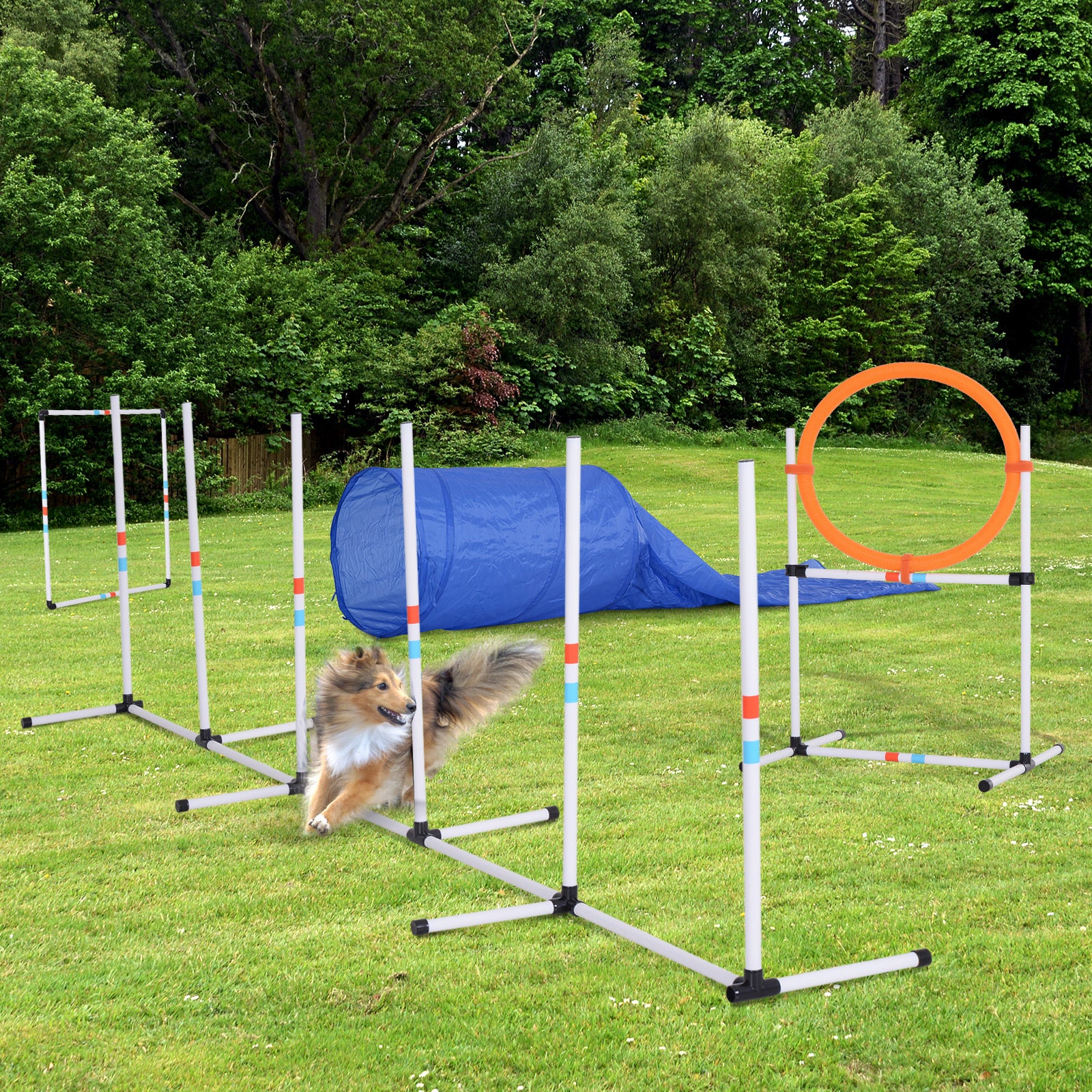 PawHut Dog Agility Equipment Training Set Carry Bag Adjustable (Pole + Hoop + Hurdle+Tunnel + Pause Box)